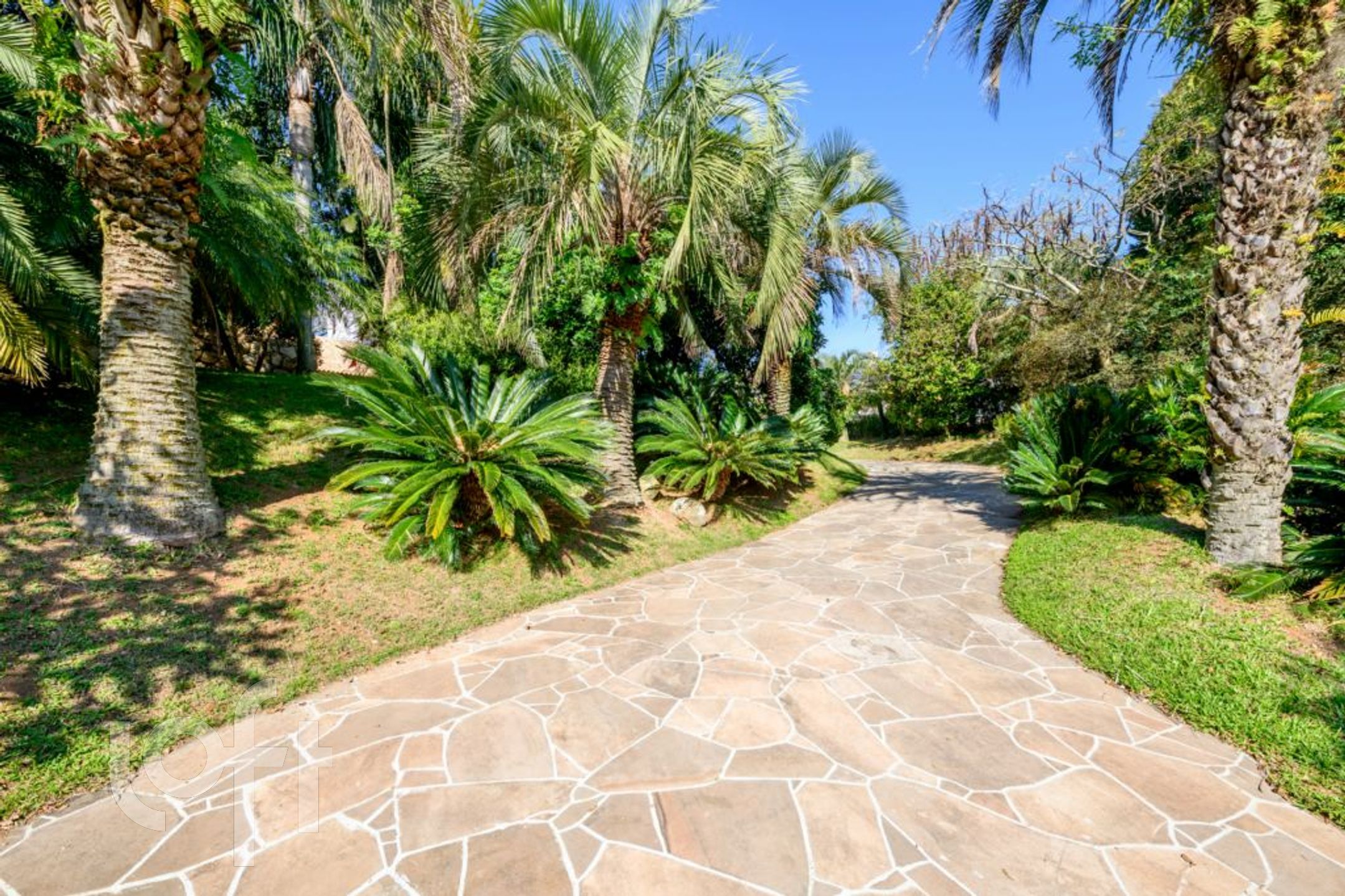 Imagem da propriedade 62