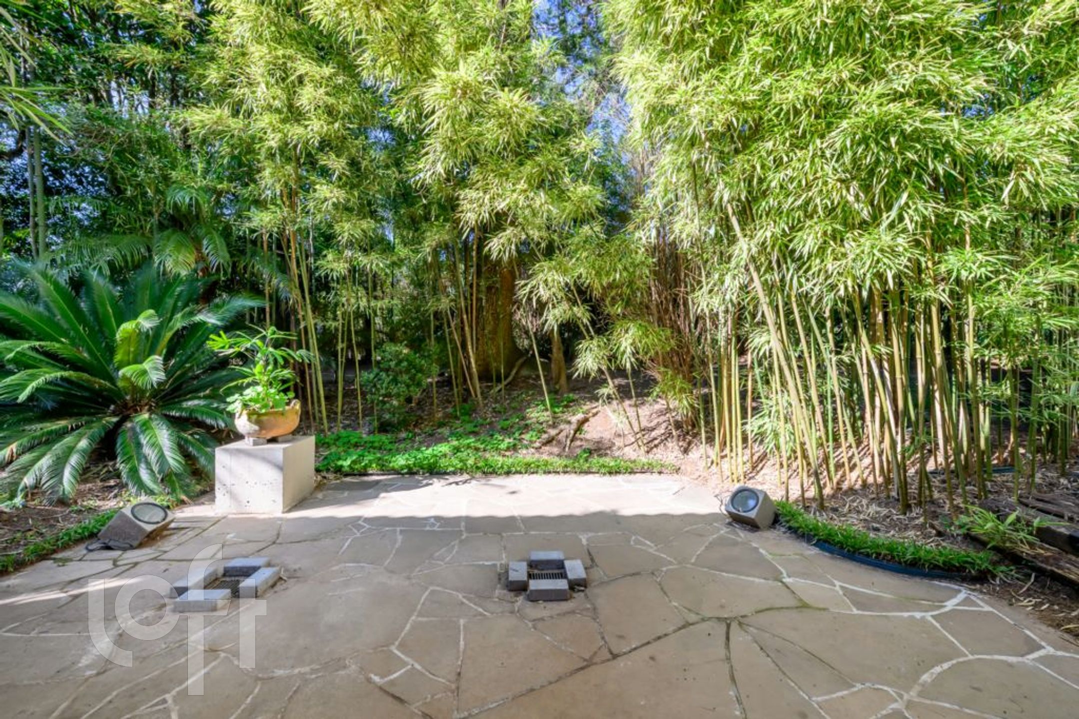 Imagem da propriedade 58