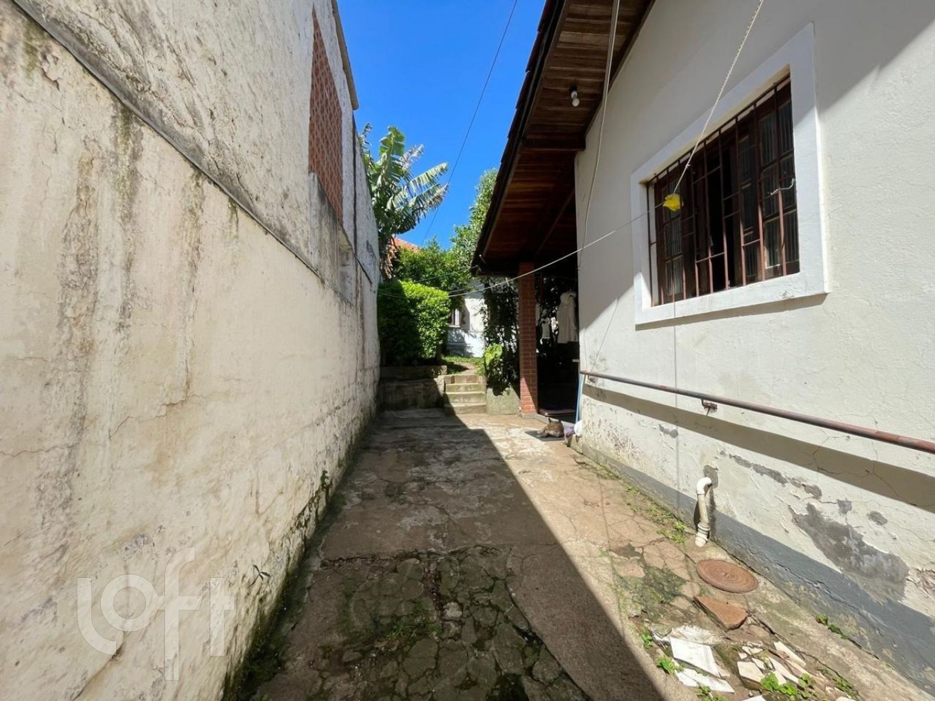 Imagem da propriedade 19