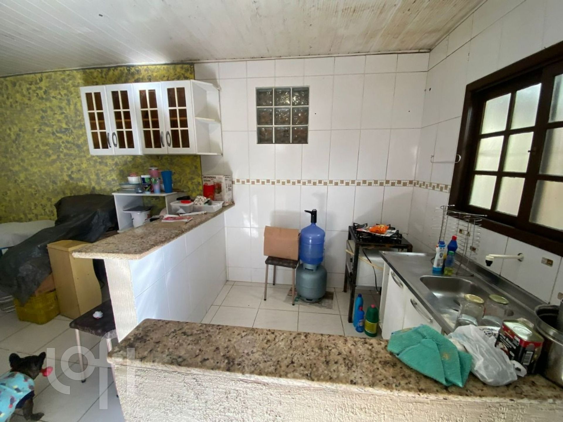 Imagem da propriedade 8