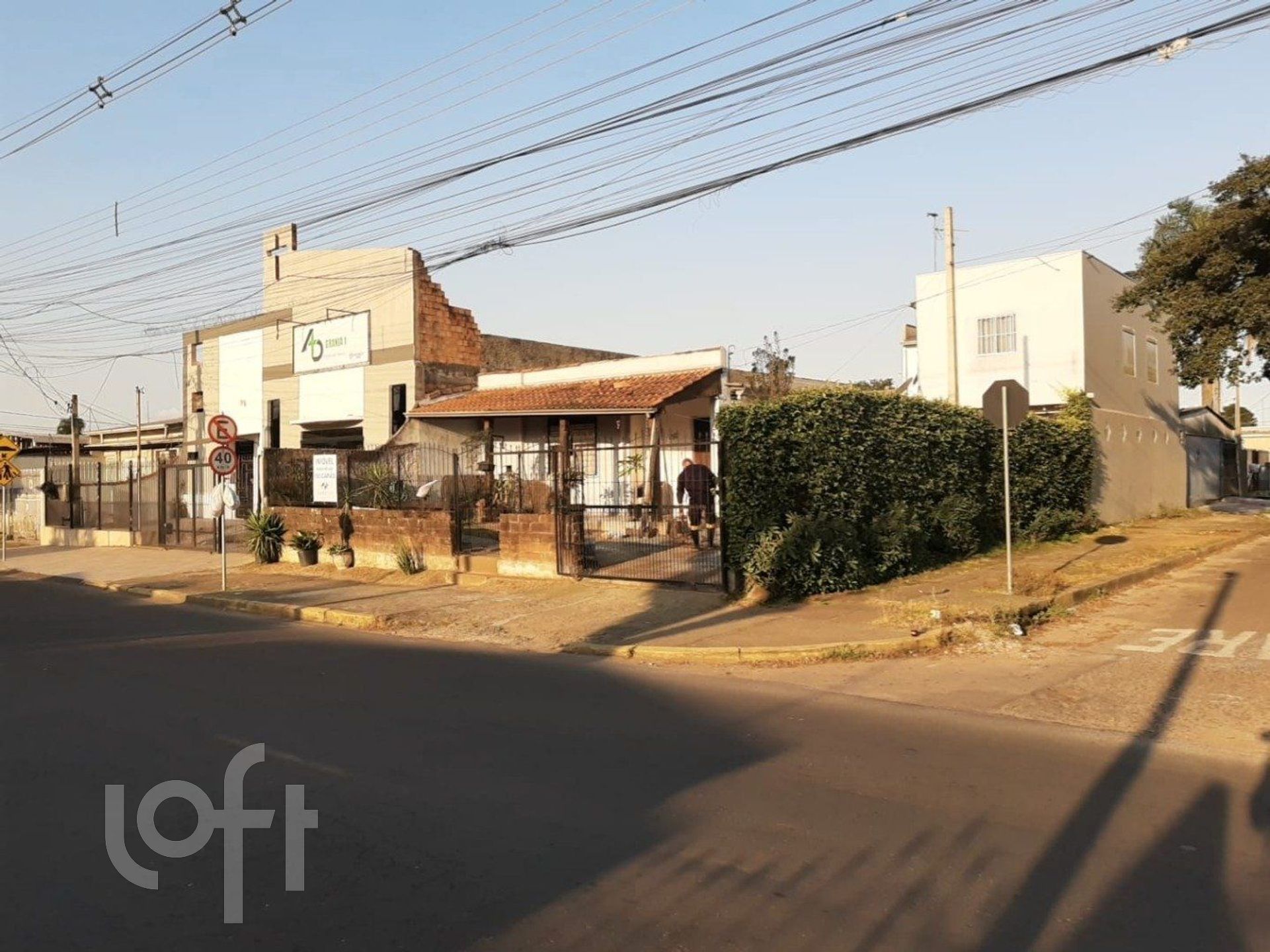 Imagem da propriedade 3