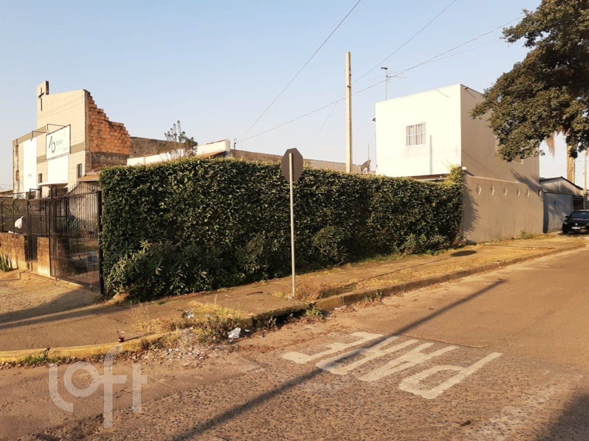 Imagem da propriedade 5