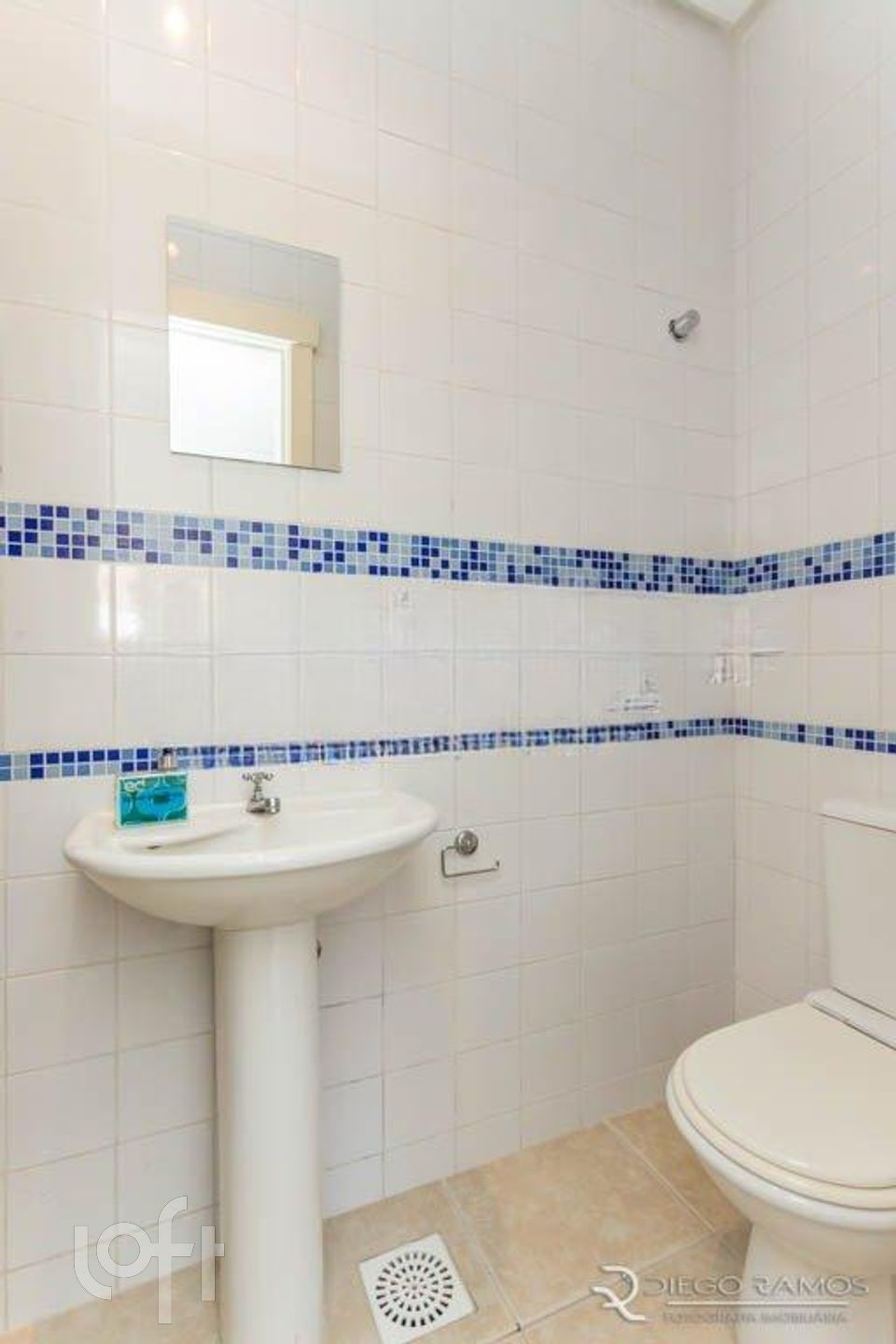 Imagem da propriedade 12