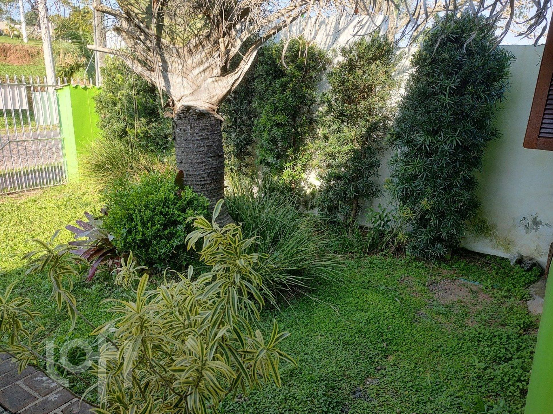 Imagem da propriedade 10