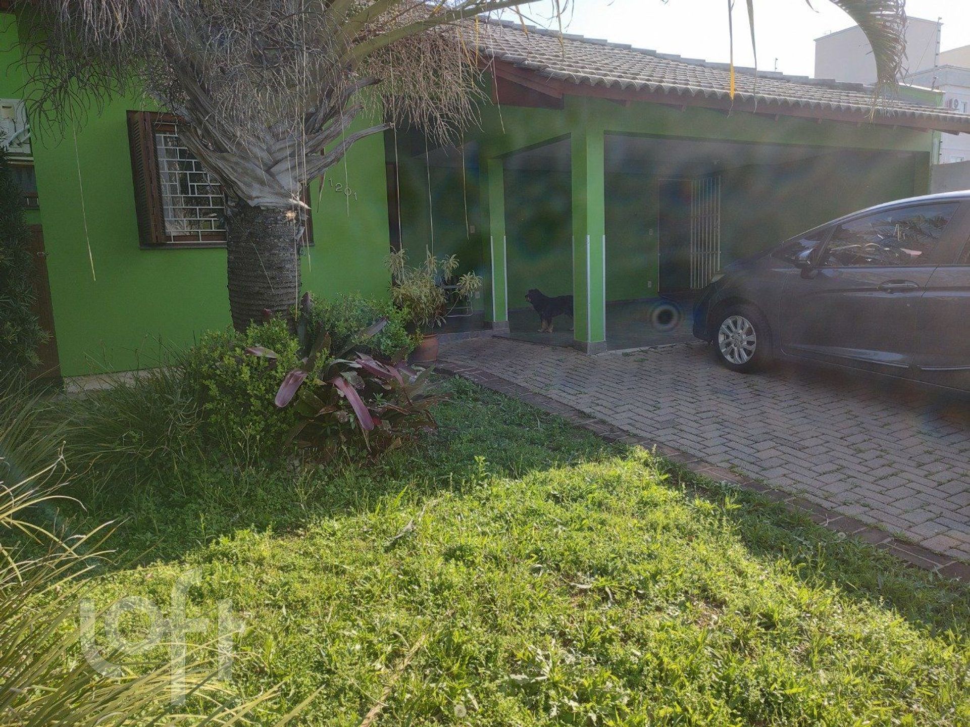 Imagem da propriedade 11