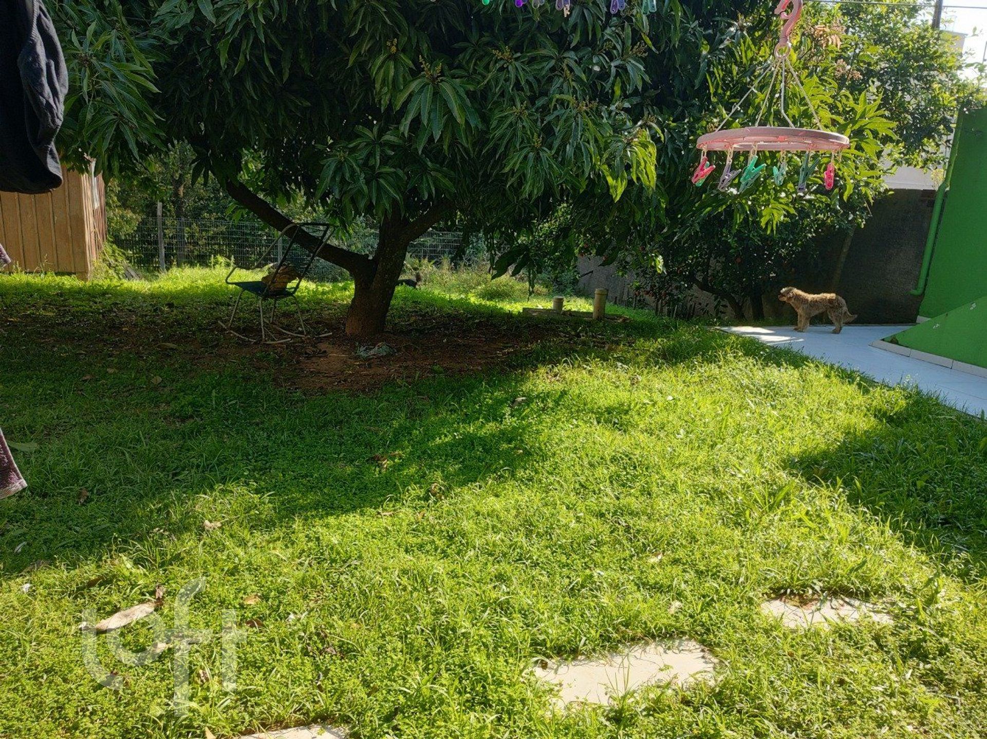 Imagem da propriedade 17