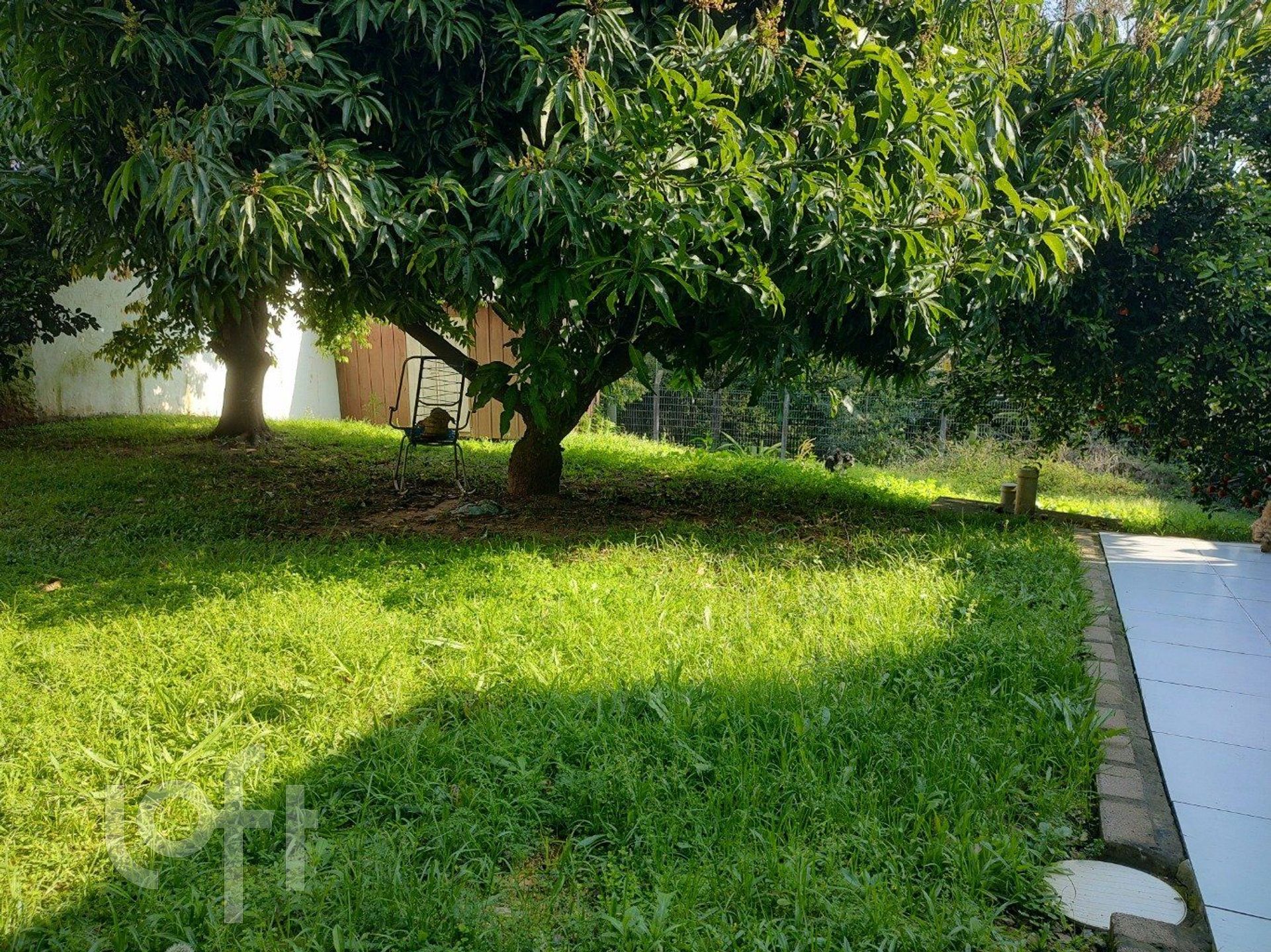 Imagem da propriedade 16