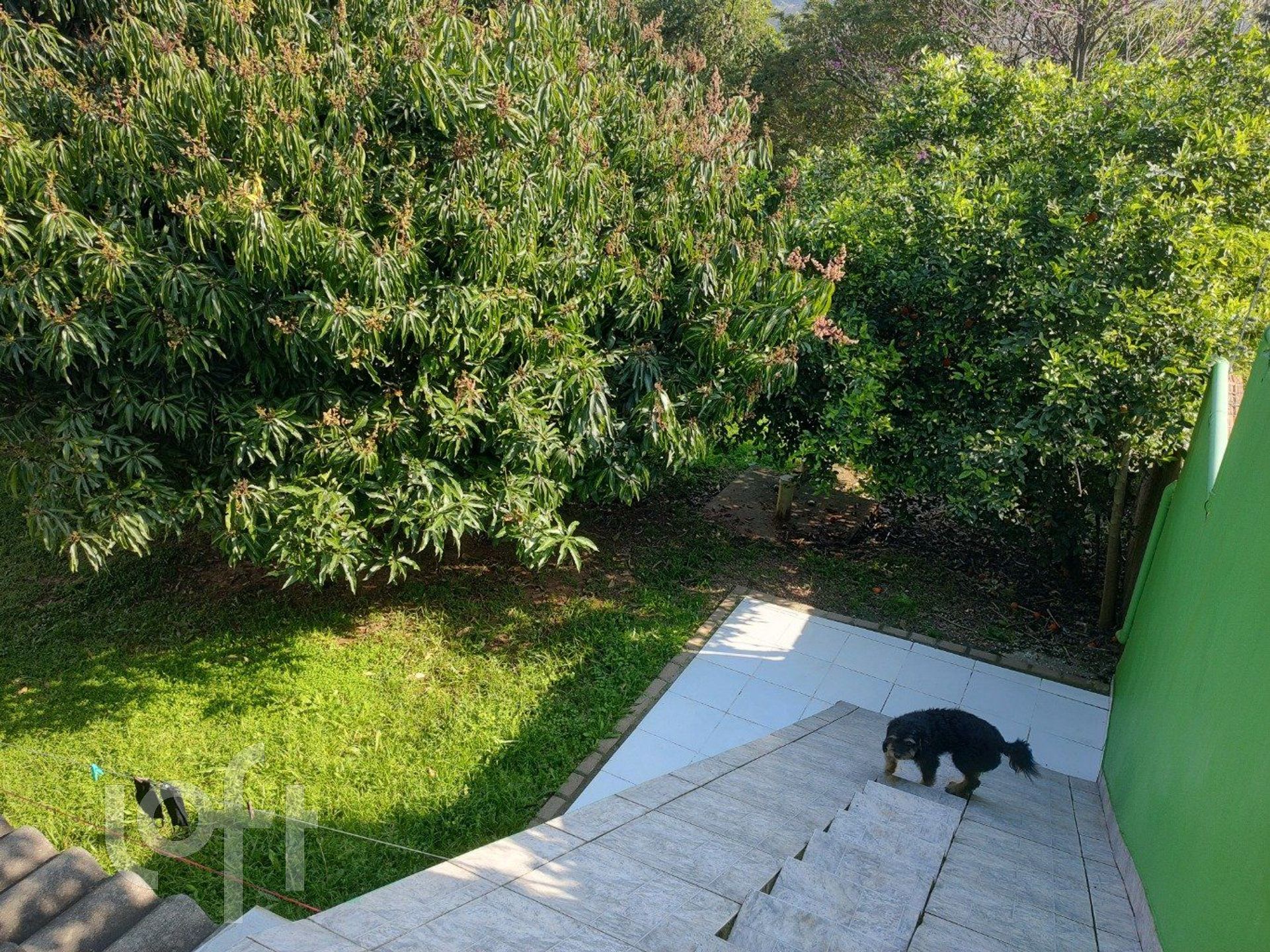 Imagem da propriedade 14