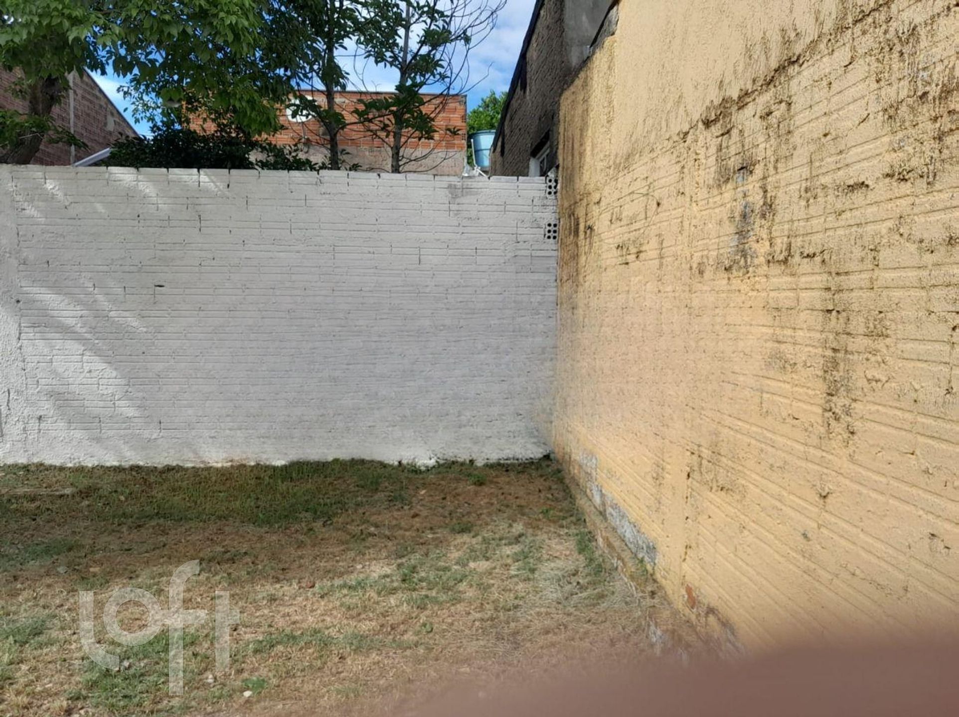 Imagem da propriedade 23