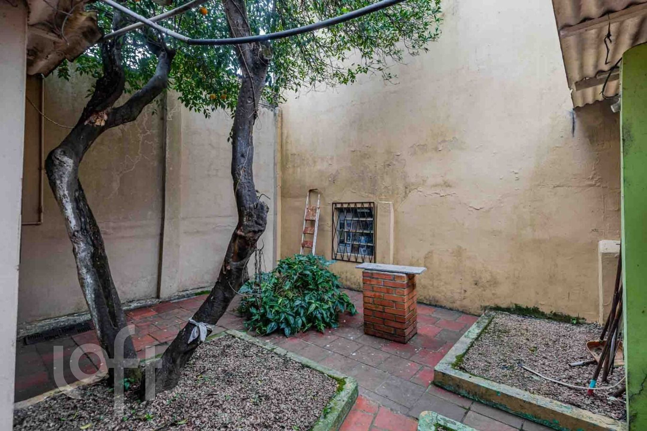 Imagem da propriedade 28