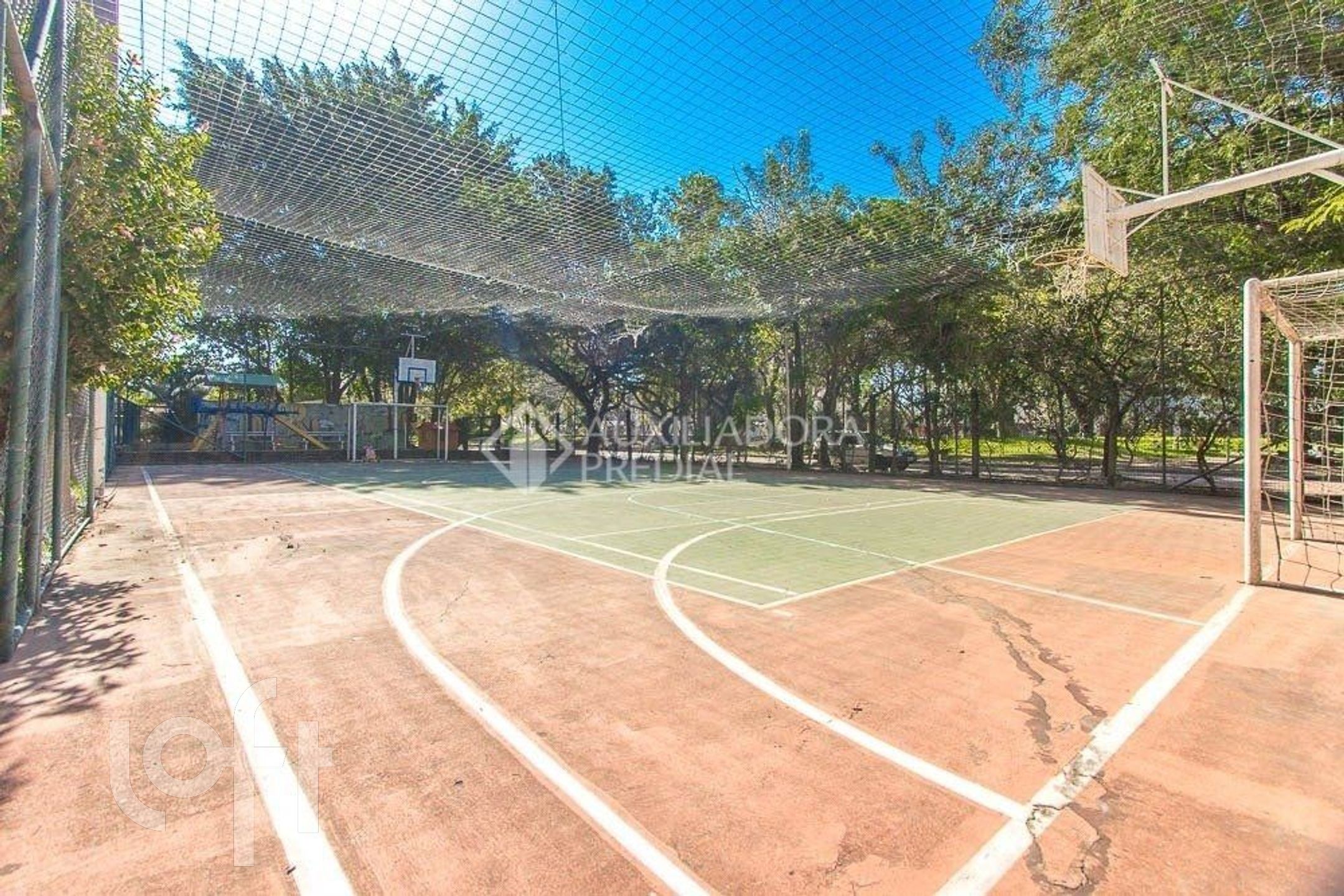 Imagem da propriedade 31