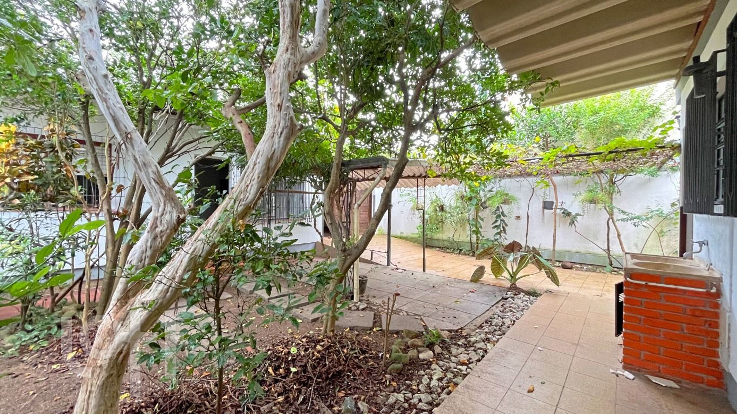 Imagem da propriedade 15