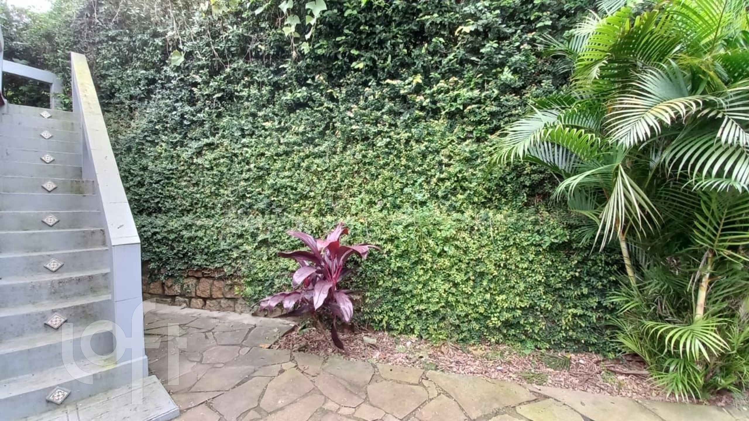 Imagem da propriedade 25