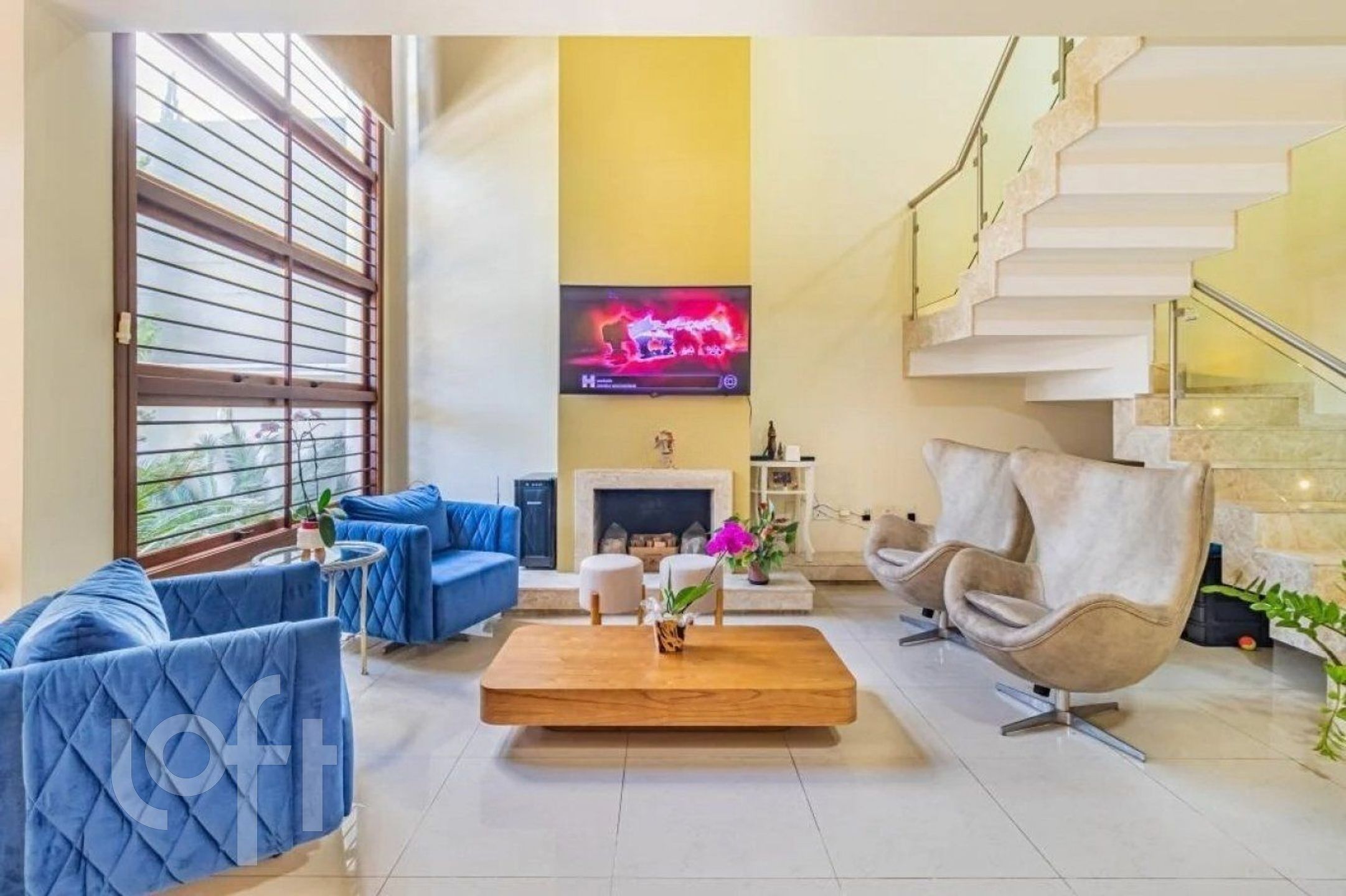 Imagem da propriedade 4