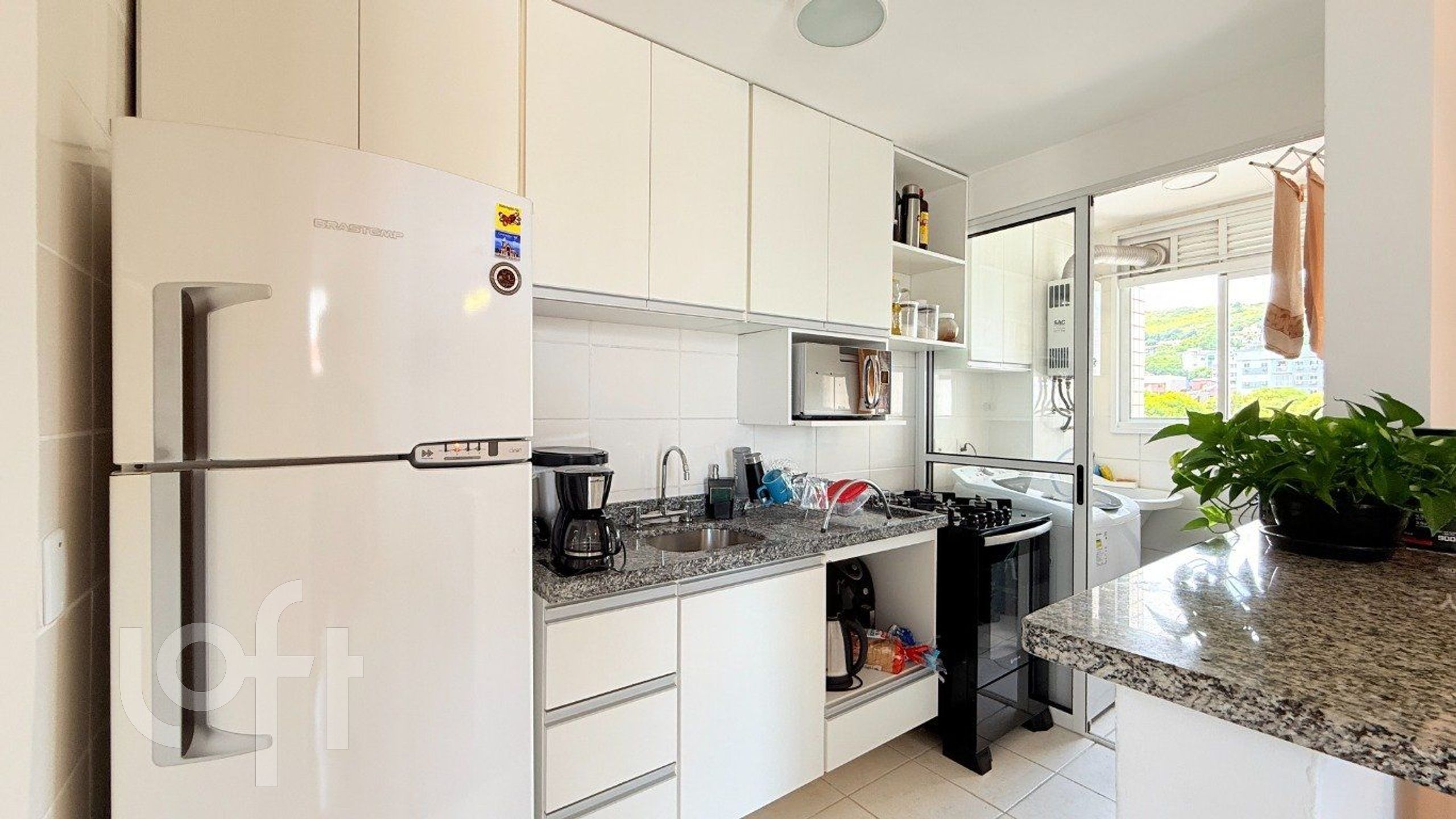 Imagem da propriedade 6