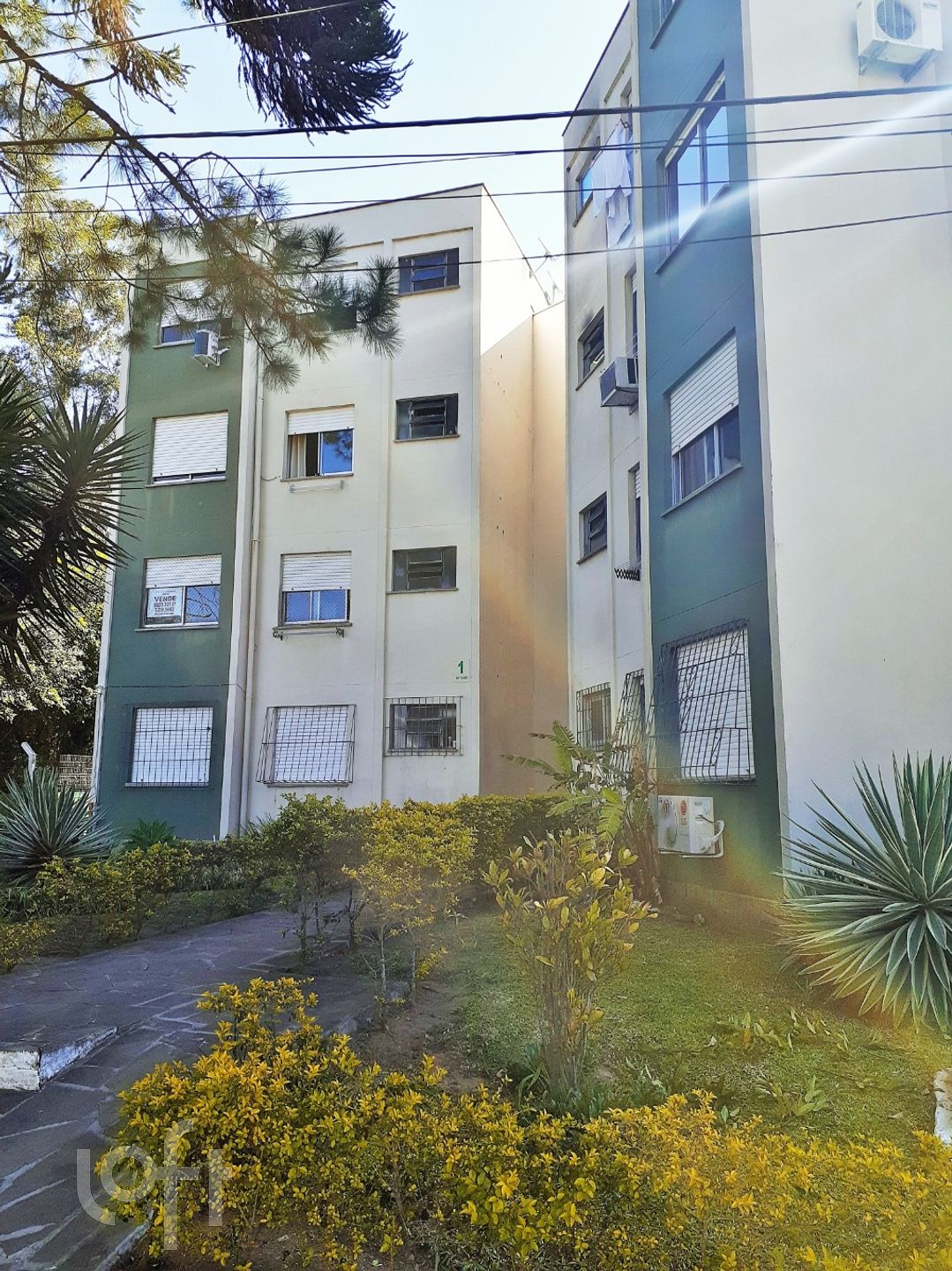 Imagem da propriedade 3