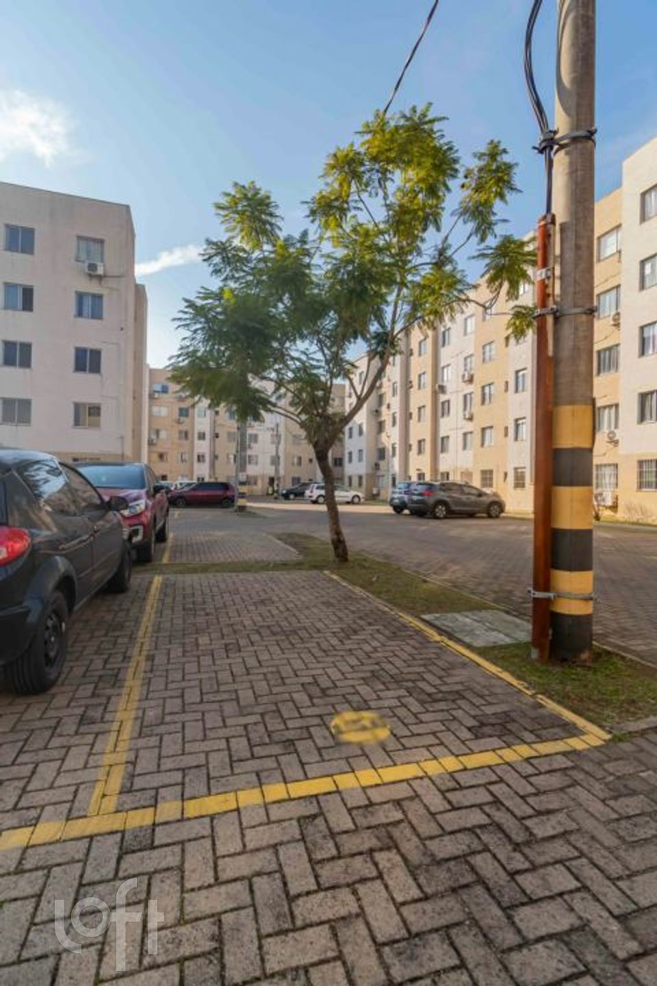 Imagem da propriedade 19