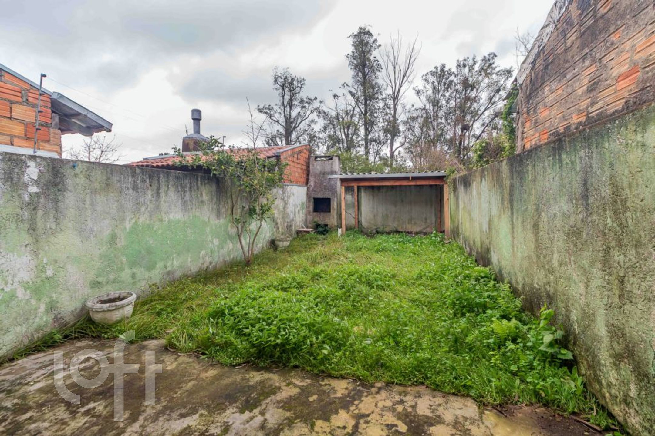 Imagem da propriedade 17