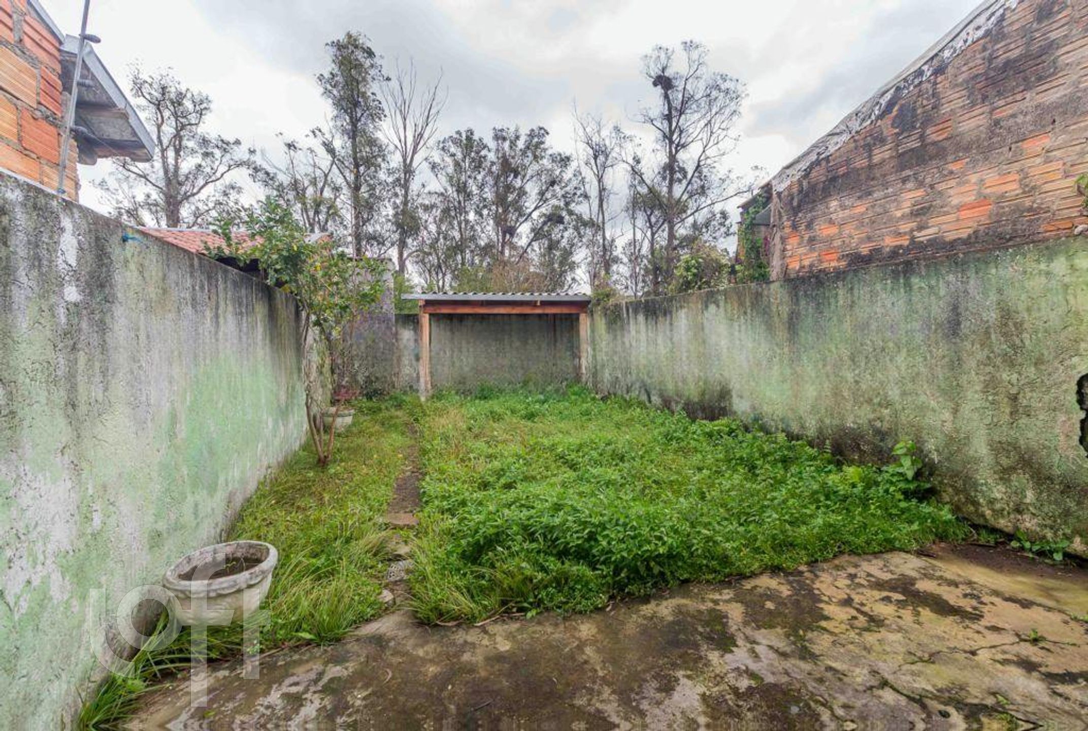 Imagem da propriedade 18