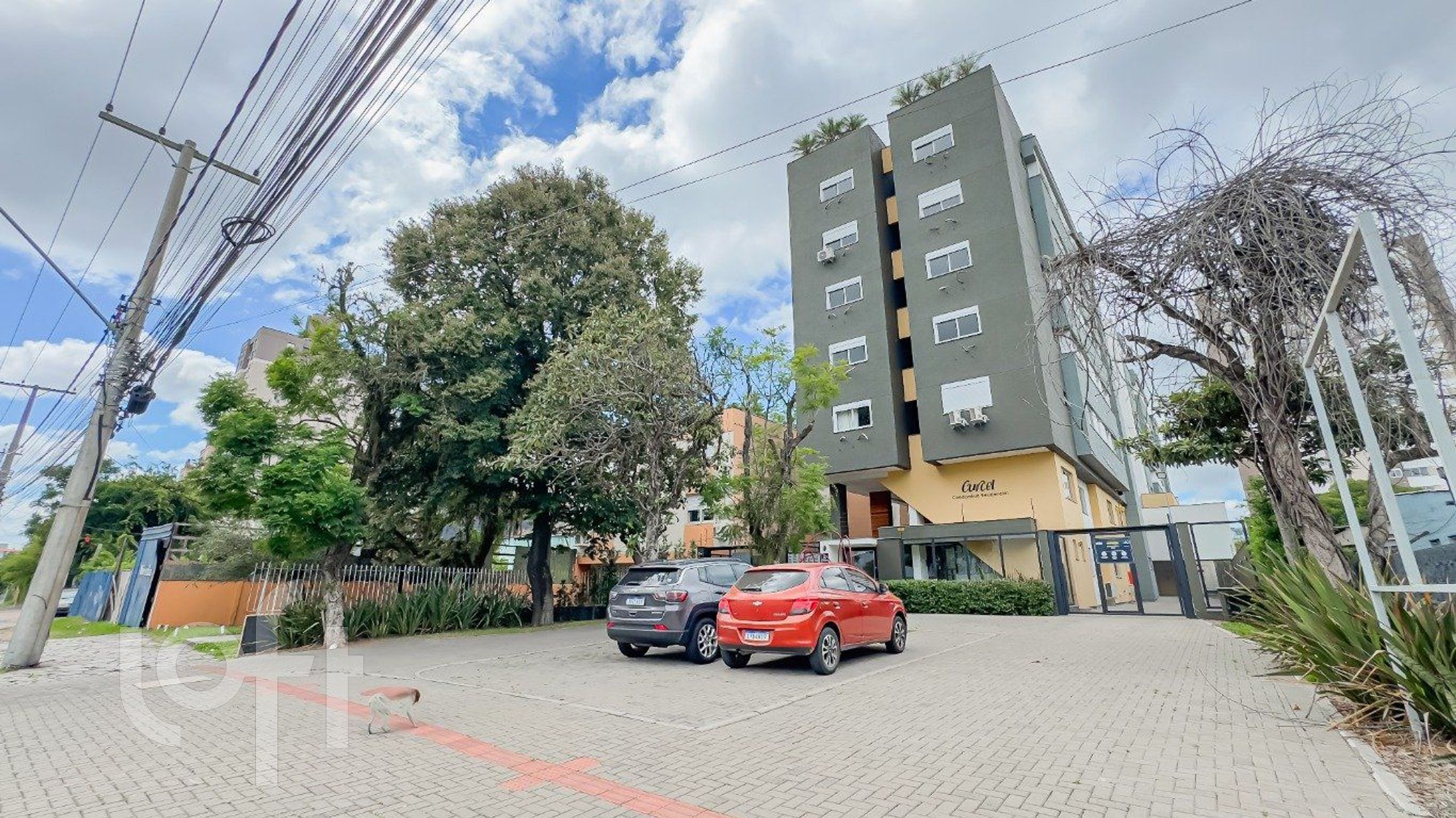 Imagem da propriedade 47