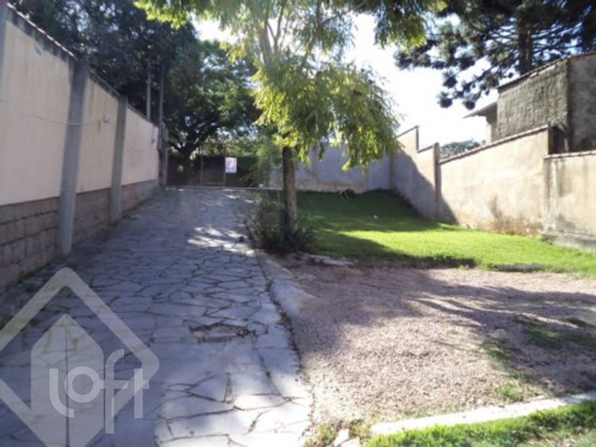 Imagem da propriedade 3