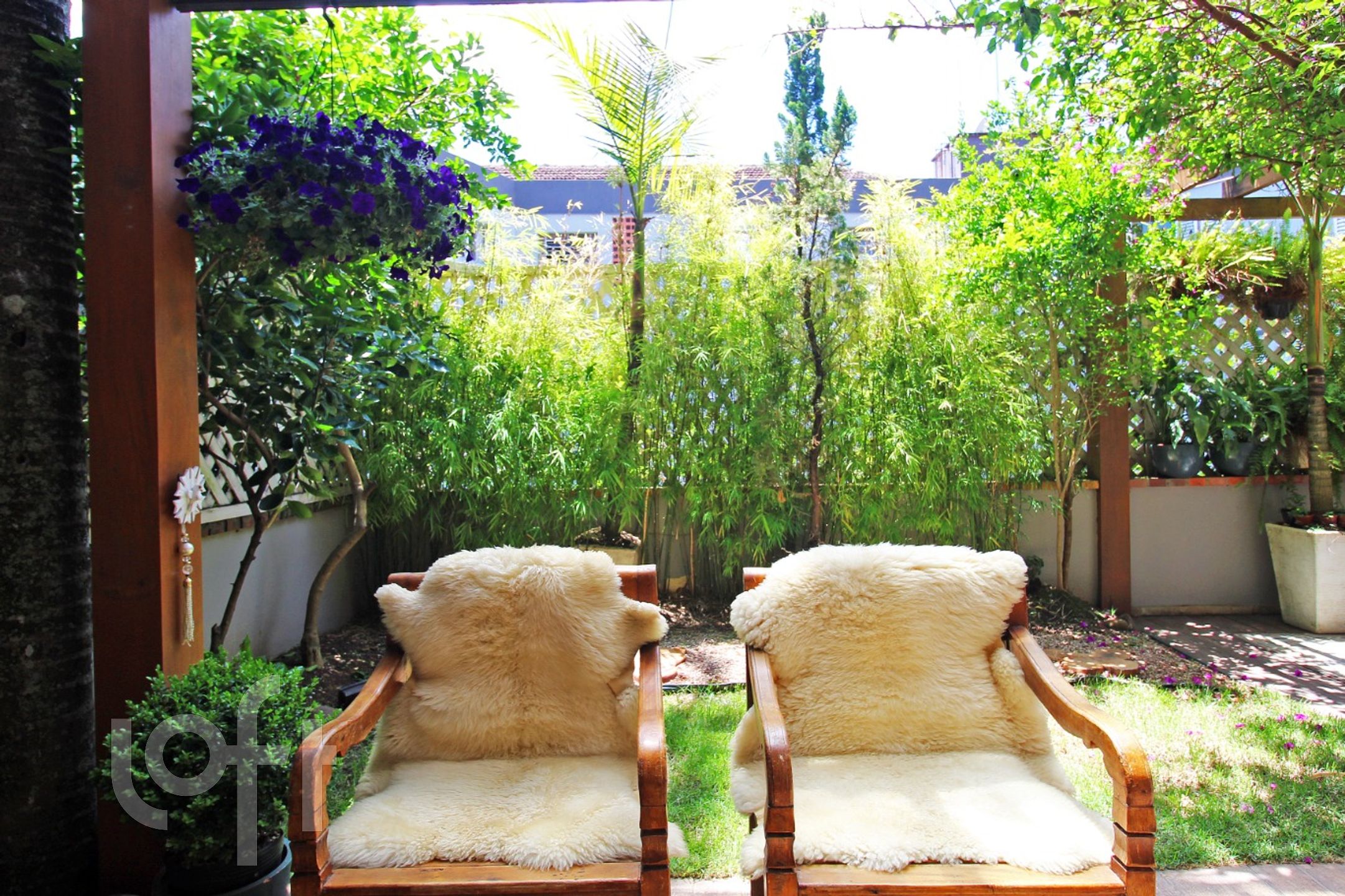 Imagem da propriedade 23