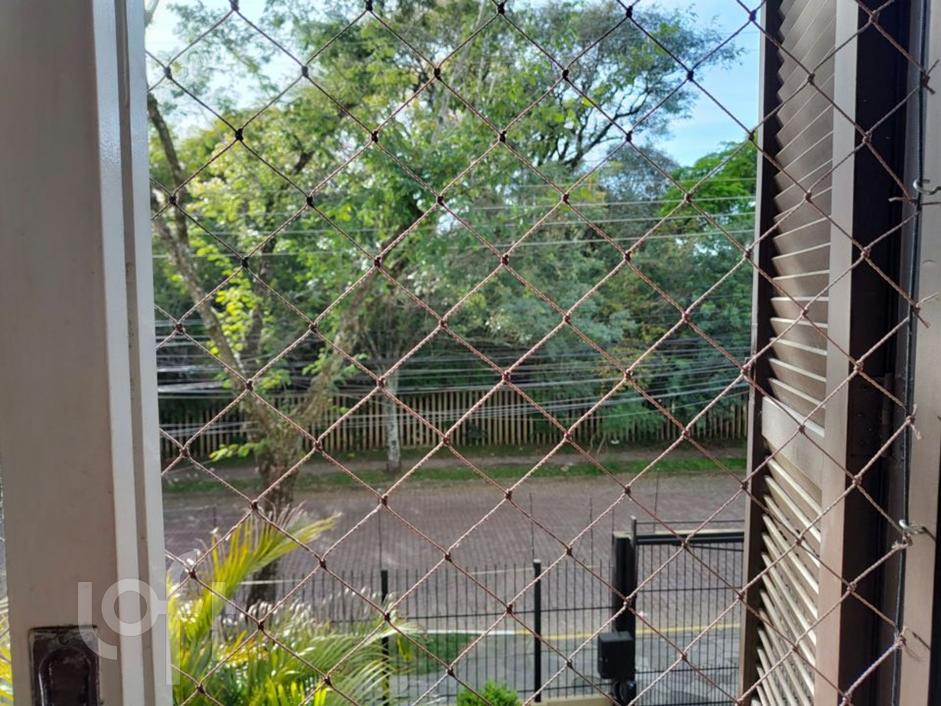 Imagem da propriedade 6
