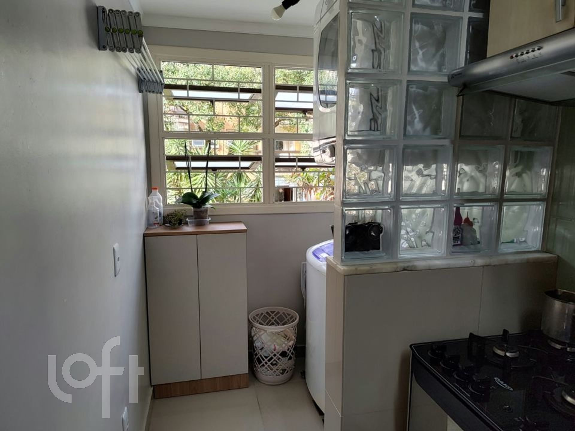 Imagem da propriedade 5