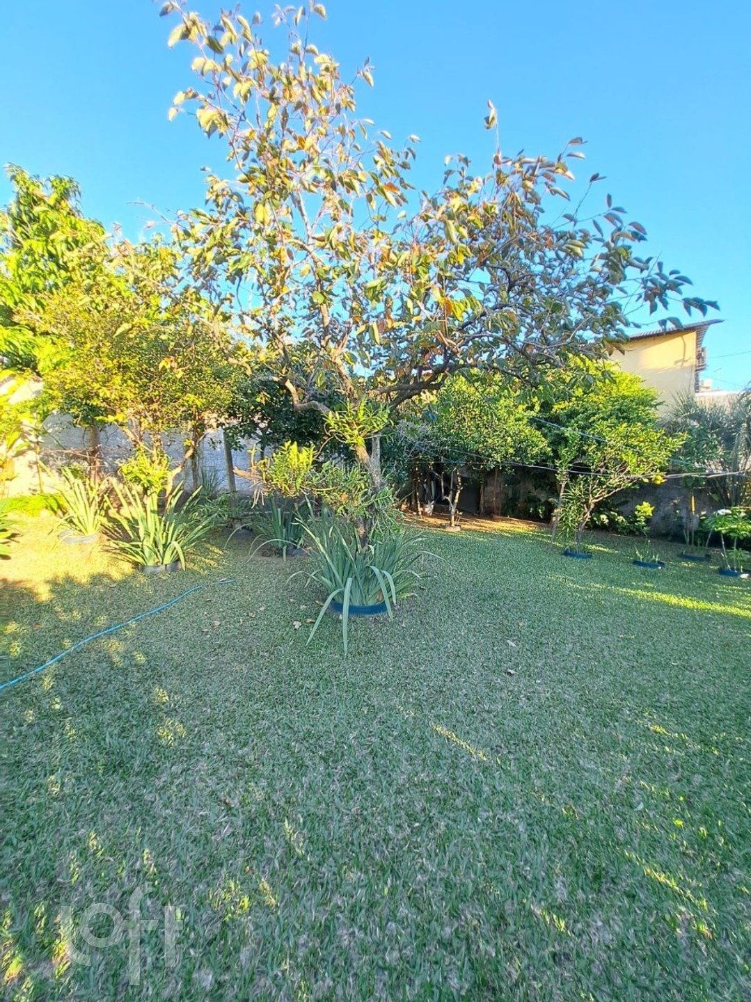 Imagem da propriedade 46