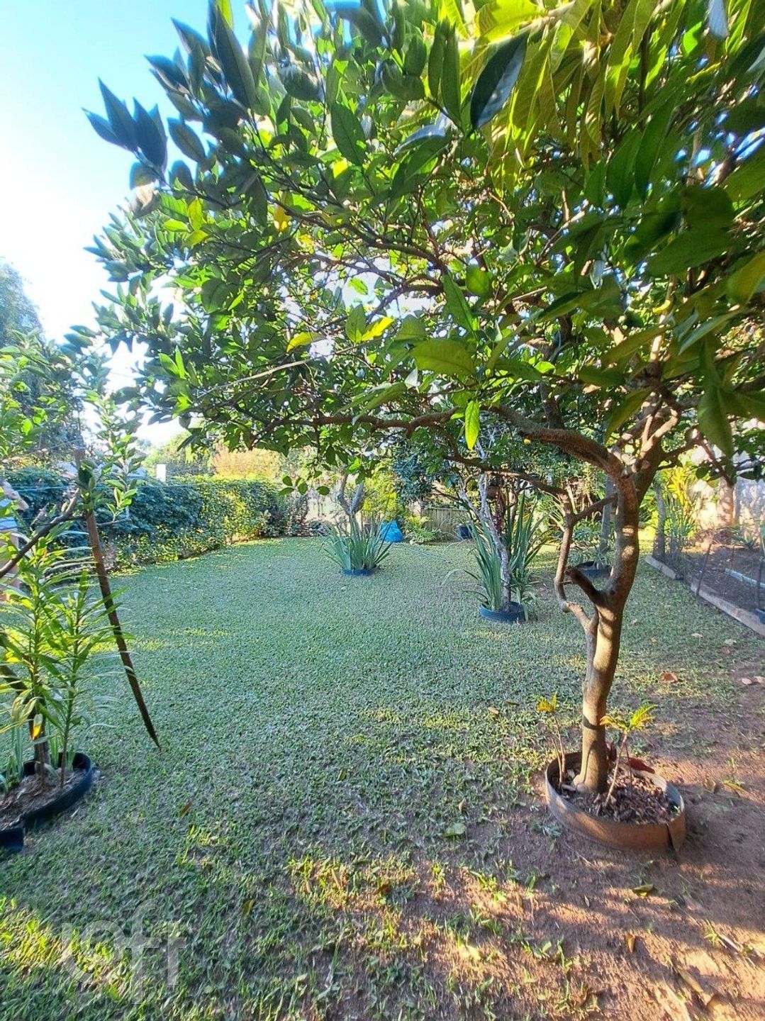 Imagem da propriedade 44