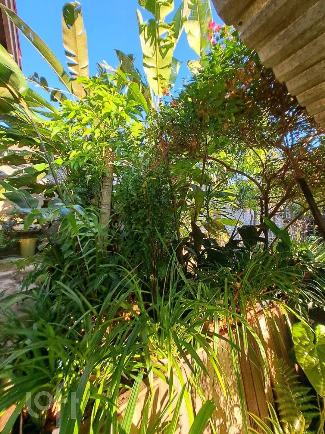 Imagem da propriedade 42