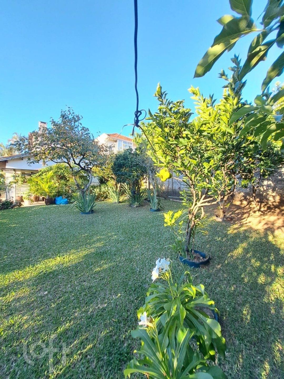 Imagem da propriedade 43