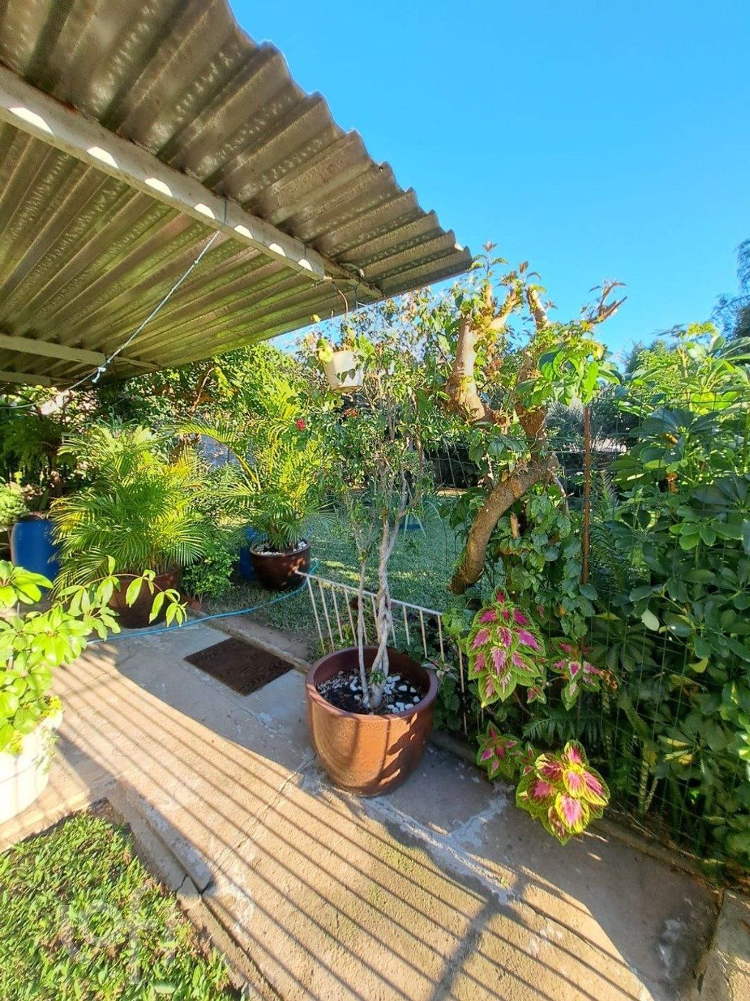 Imagem da propriedade 41