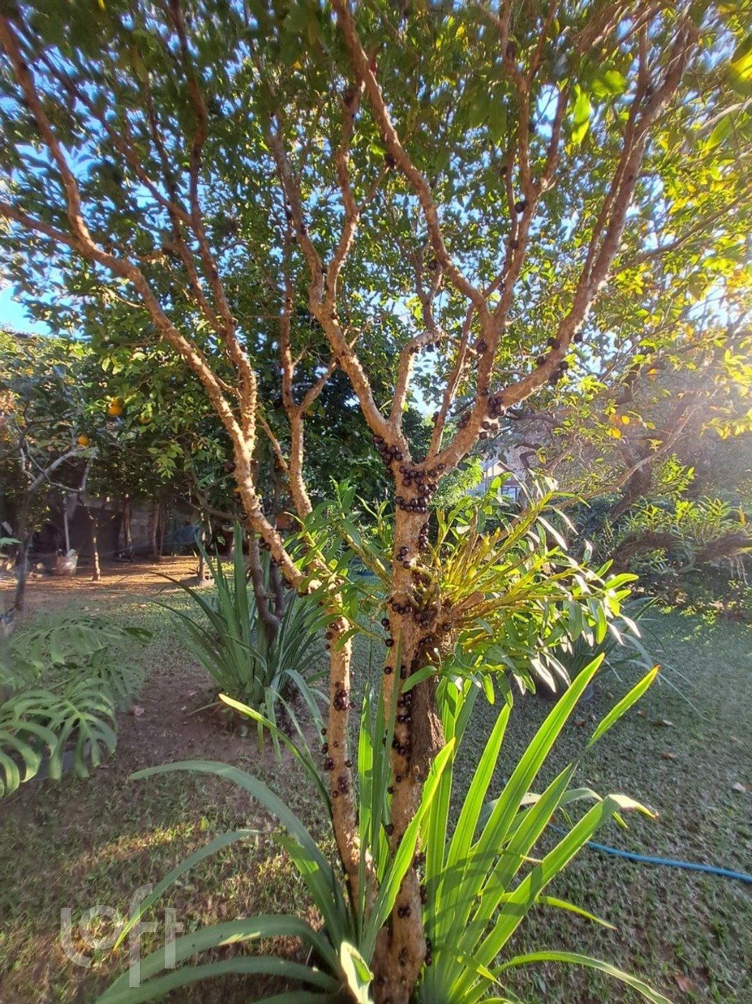 Imagem da propriedade 48