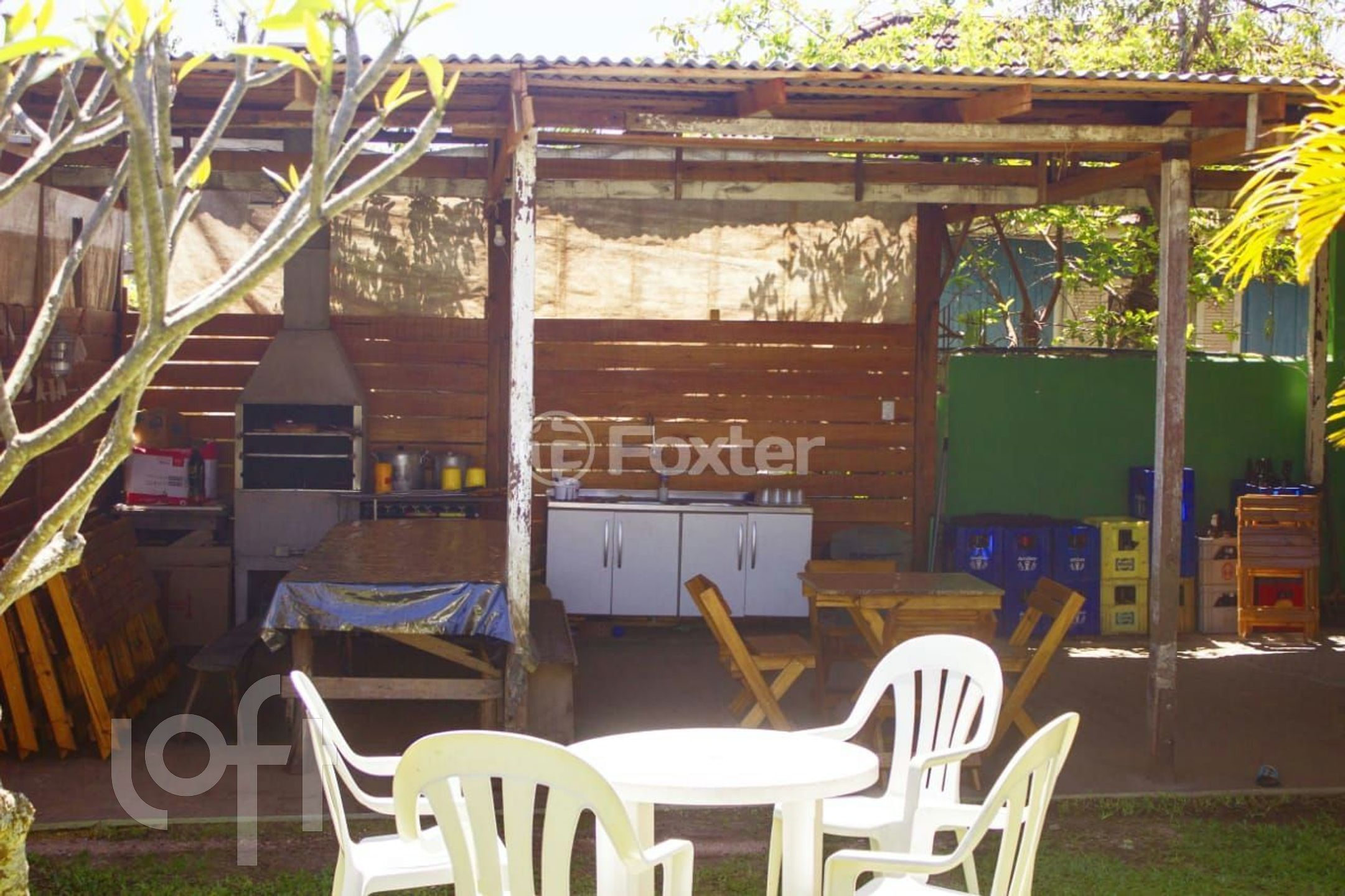 Imagem da propriedade 15