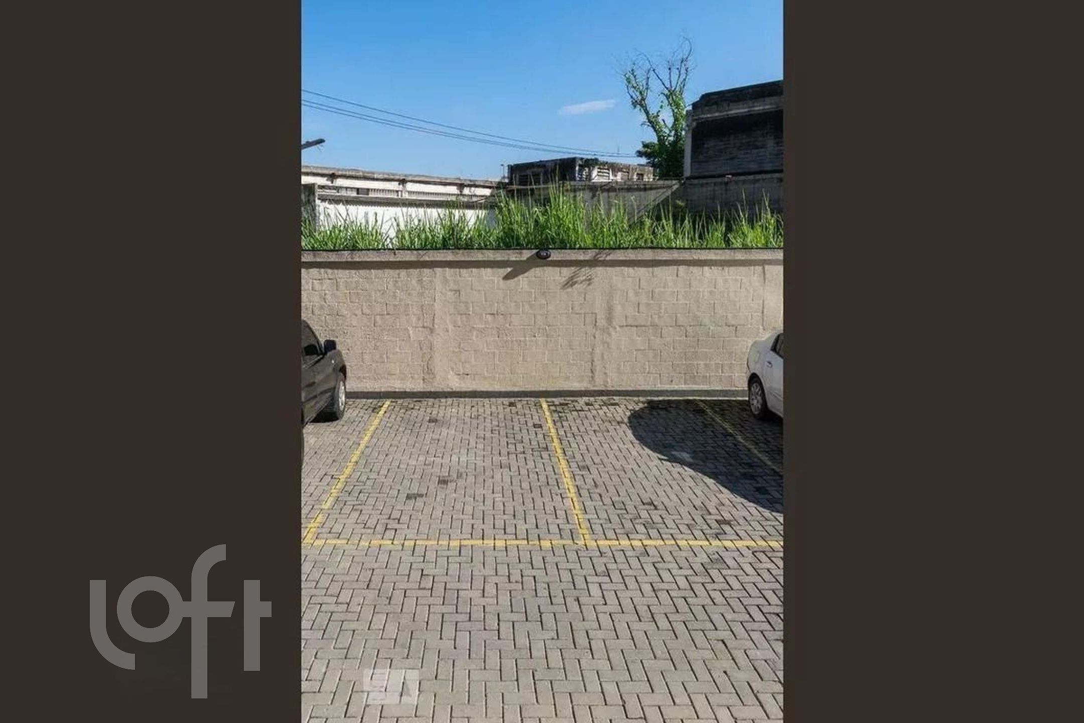 Imagem da propriedade 3