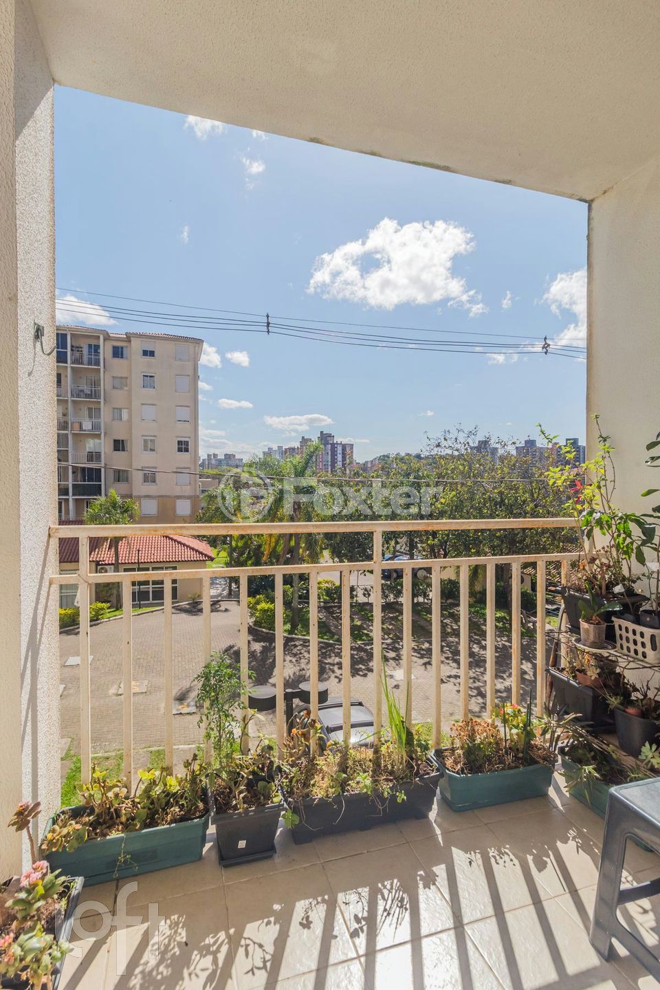 Imagem da propriedade 3