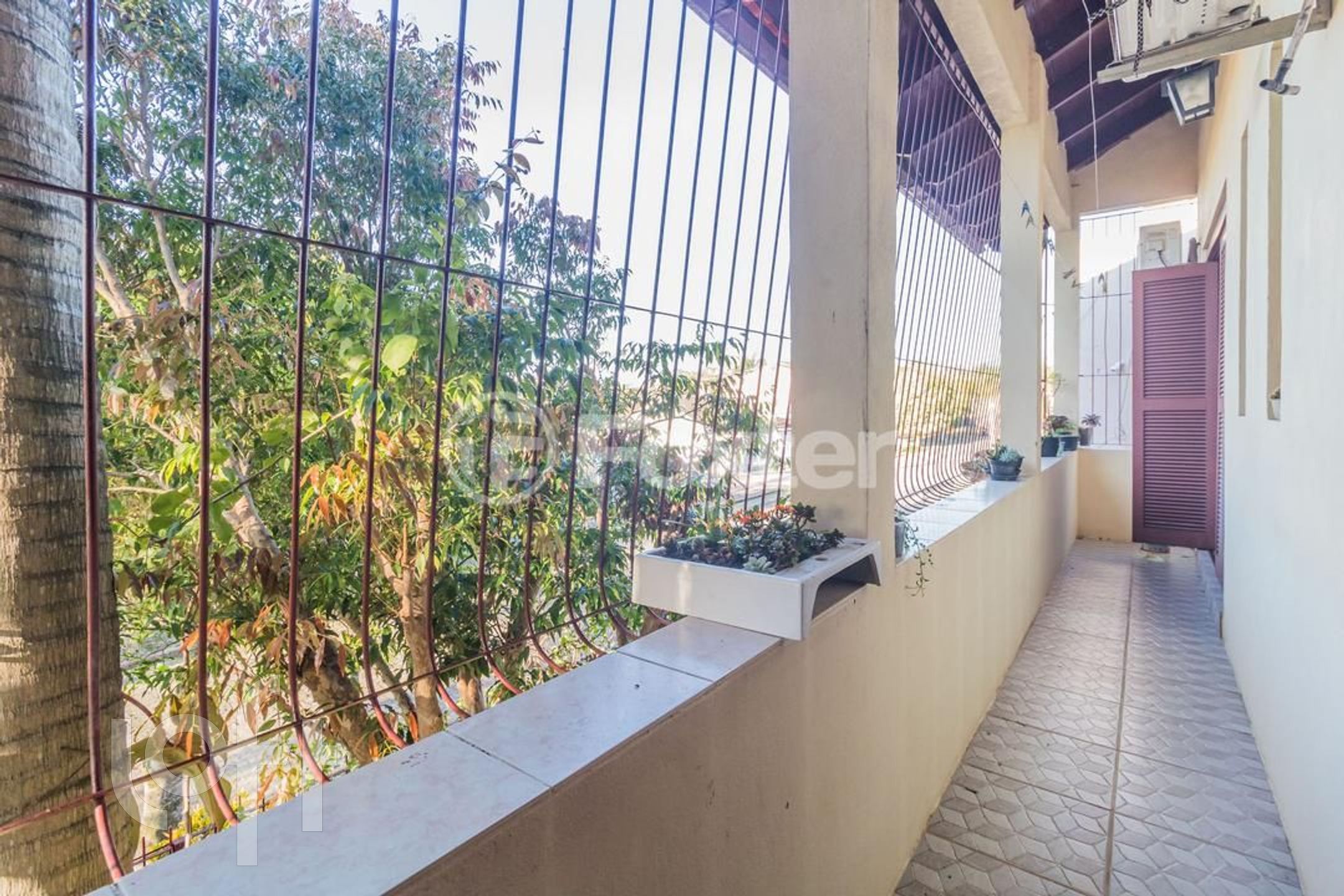 Imagem da propriedade 30