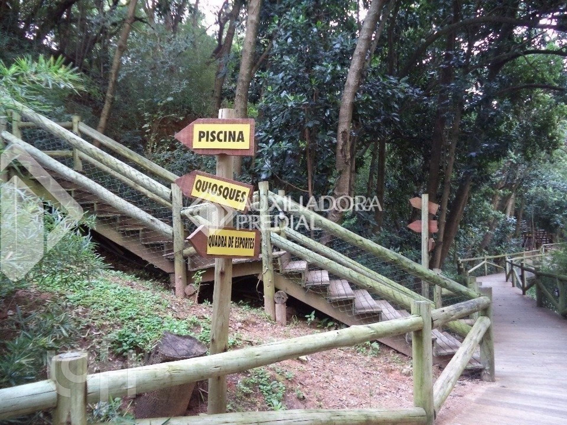 Imagem da propriedade 43