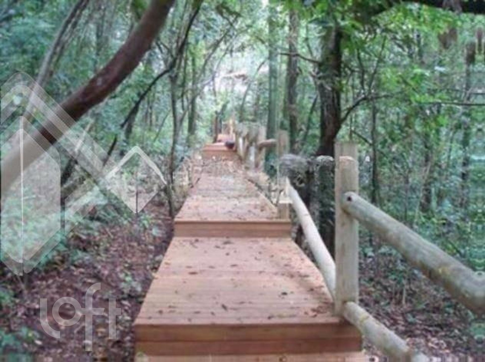 Imagem da propriedade 46