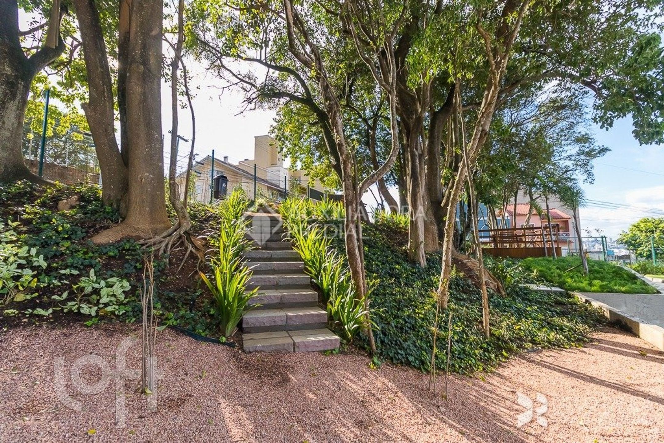 Imagem da propriedade 11