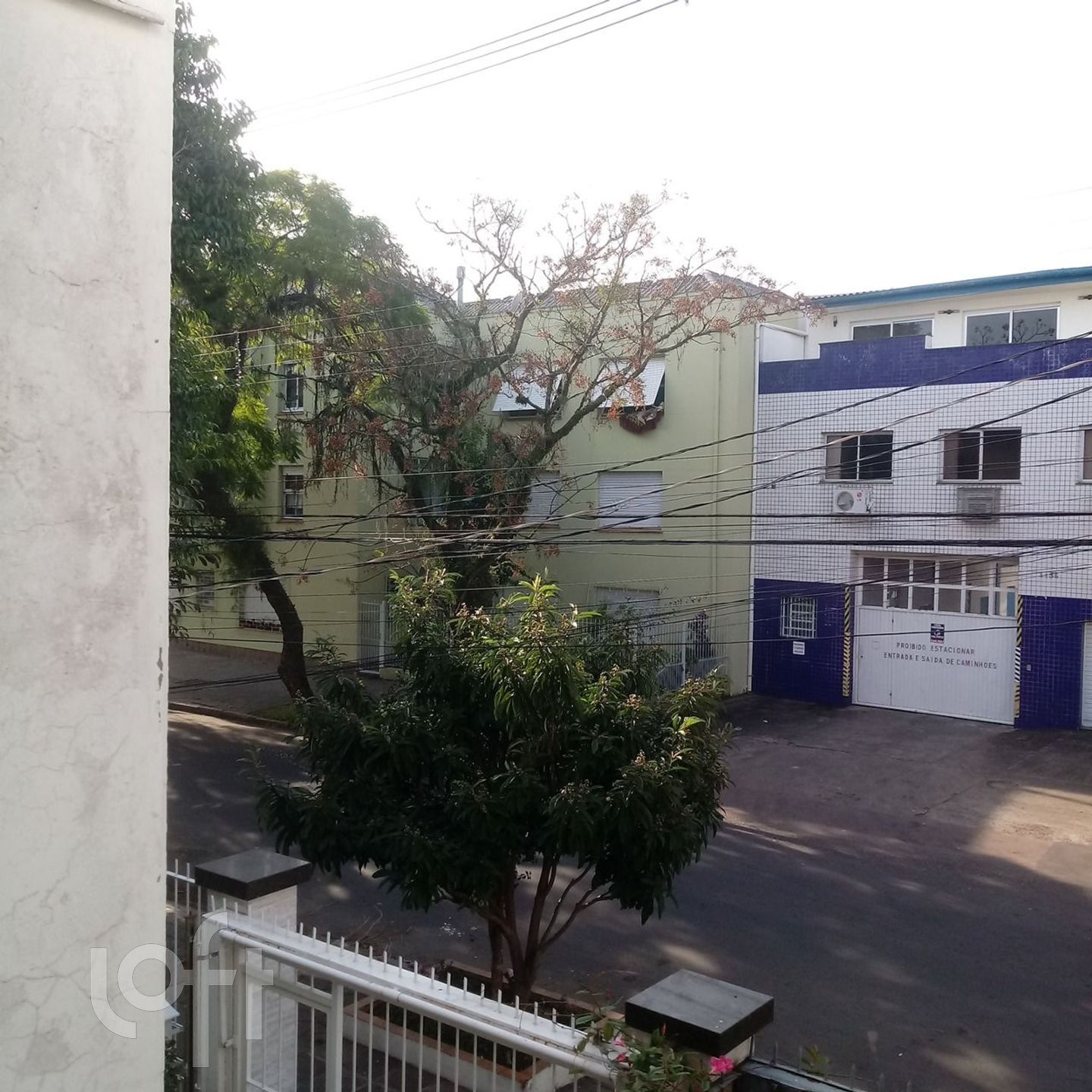 Imagem da propriedade 29