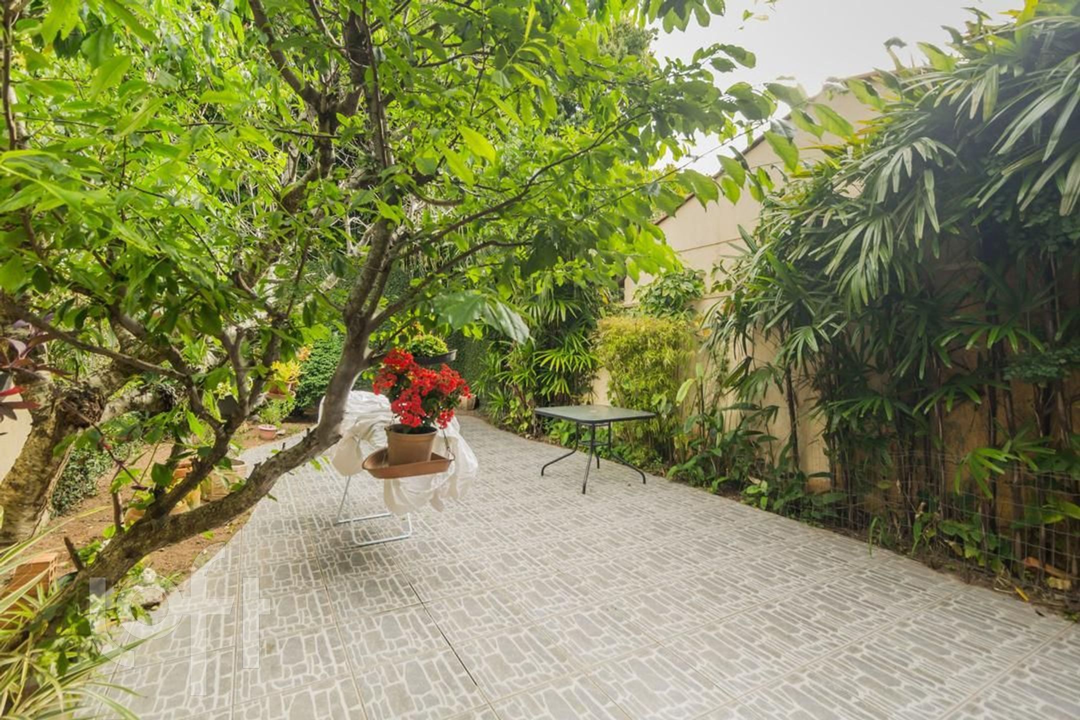 Imagem da propriedade 27