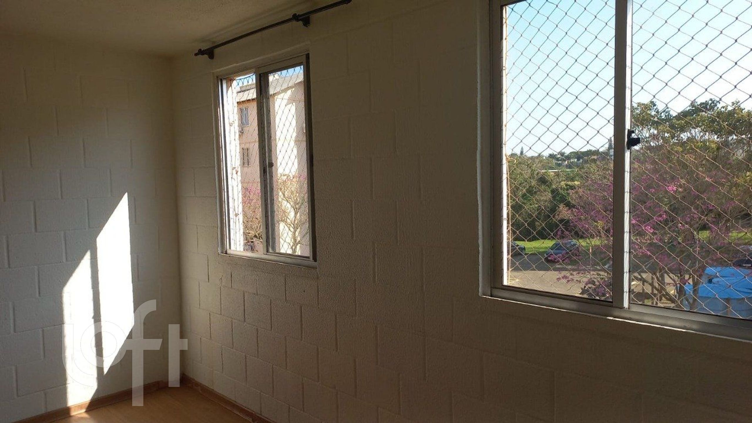 Imagem da propriedade 5