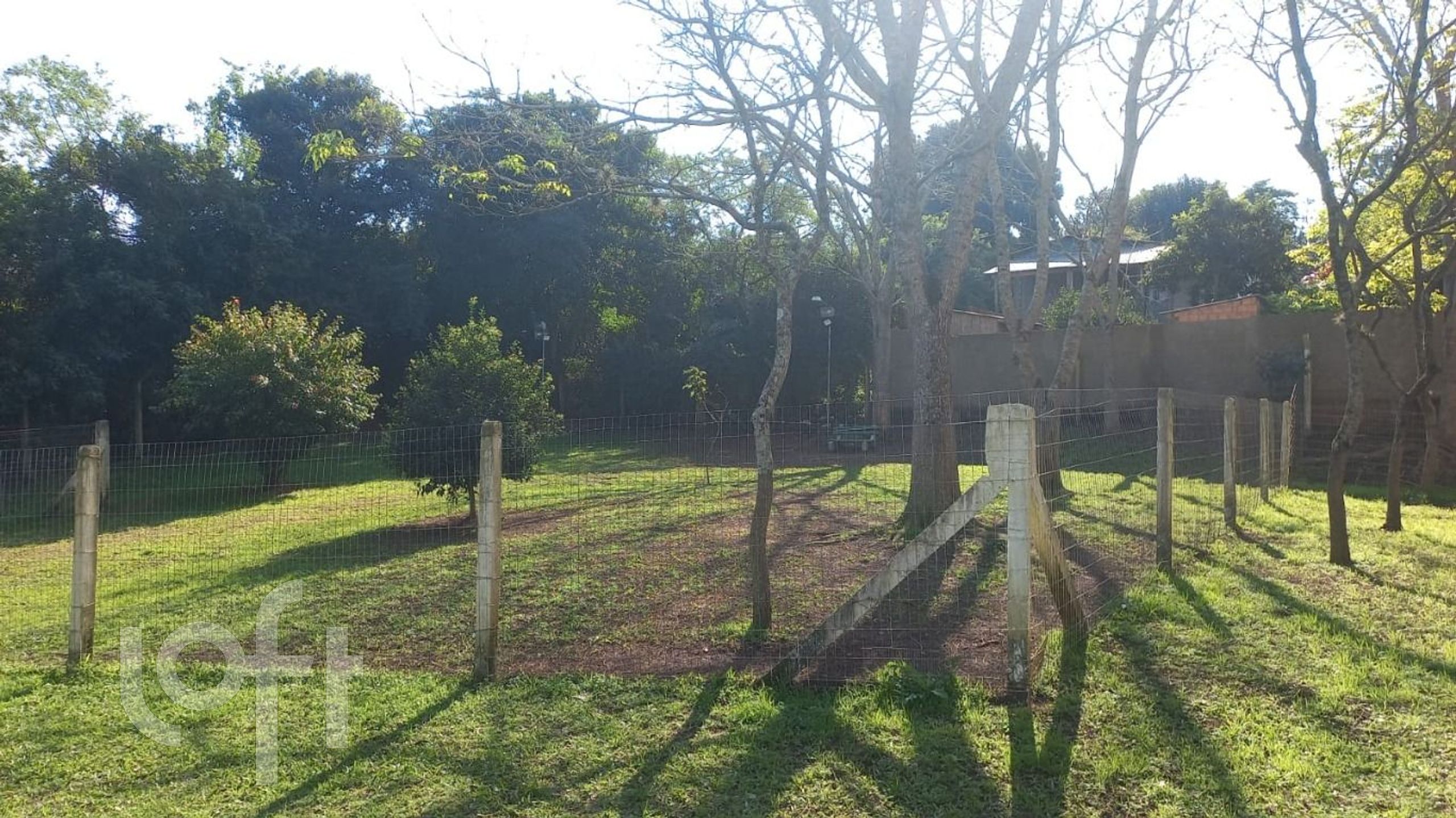 Imagem da propriedade 20