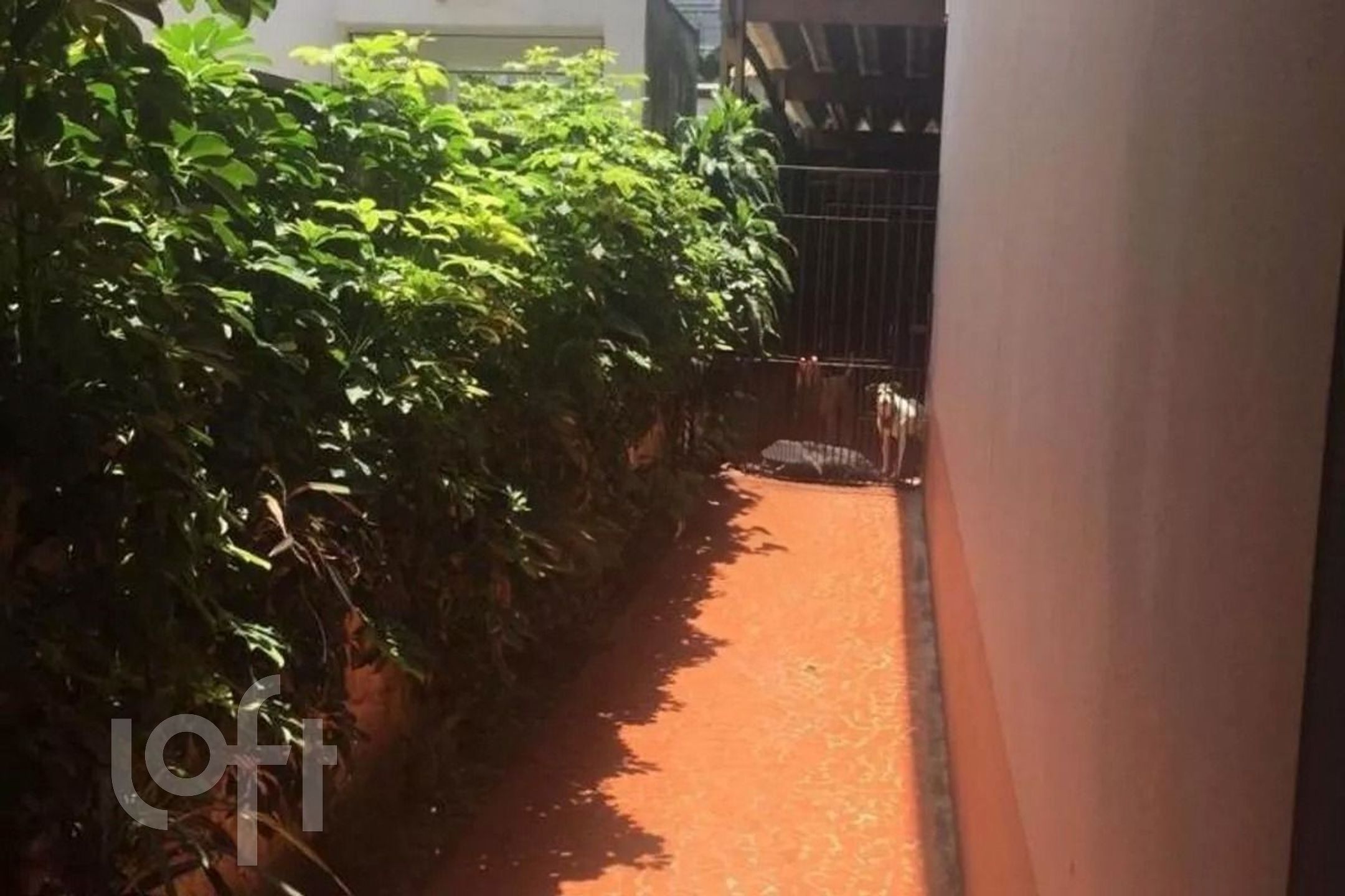 Casa à venda com 3 quartos, 500m² - Foto 6