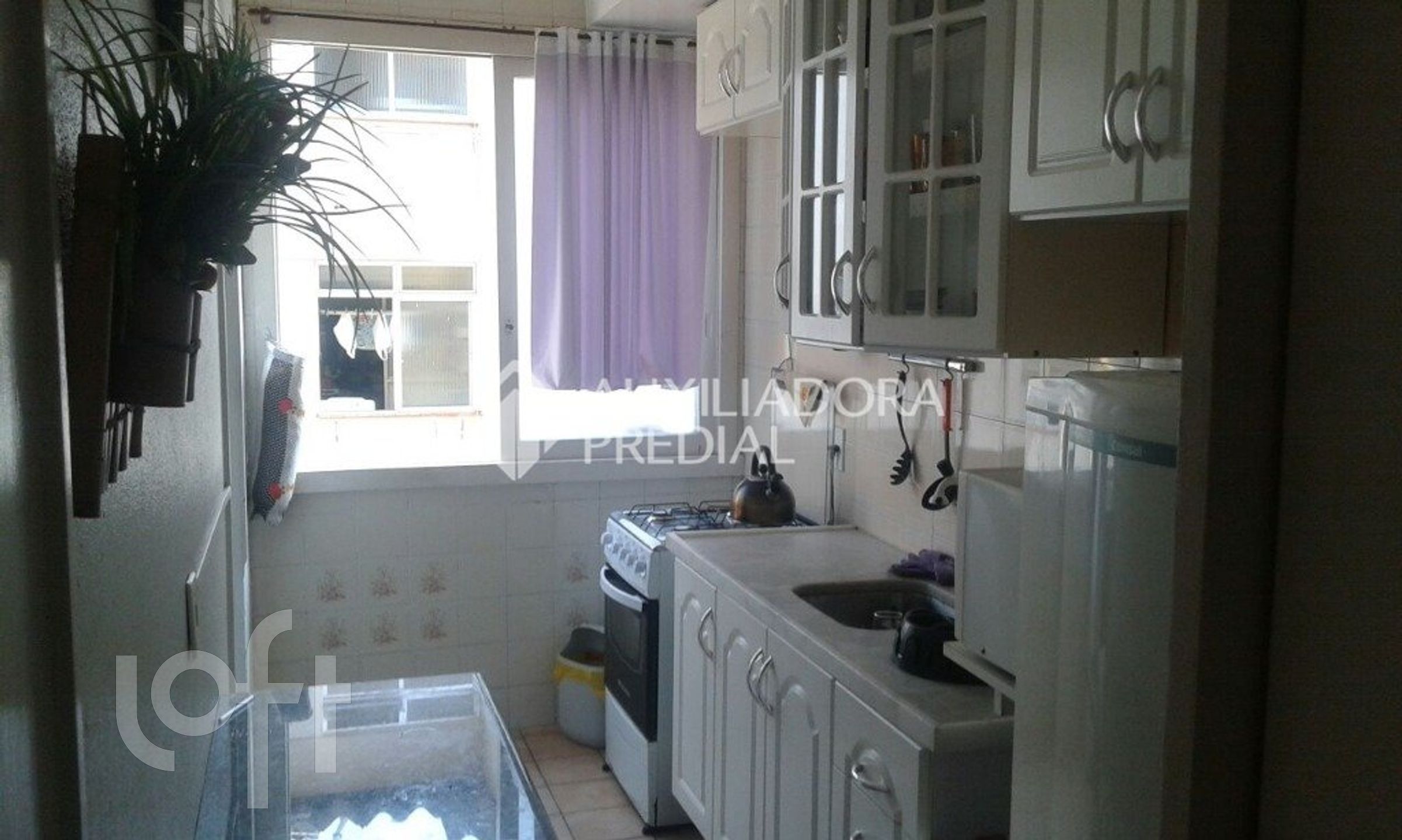 Imagem da propriedade 8