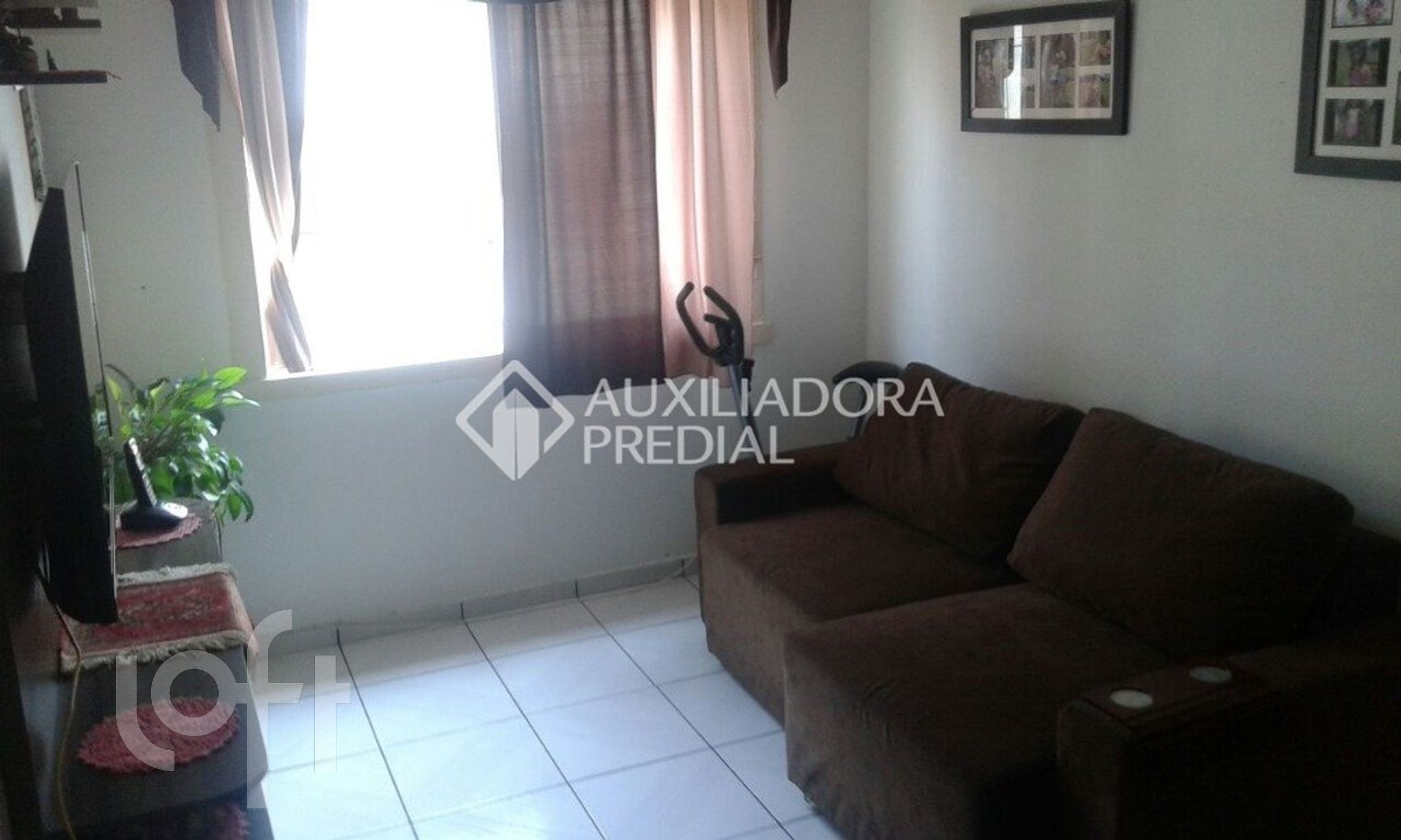 Imagem da propriedade 5