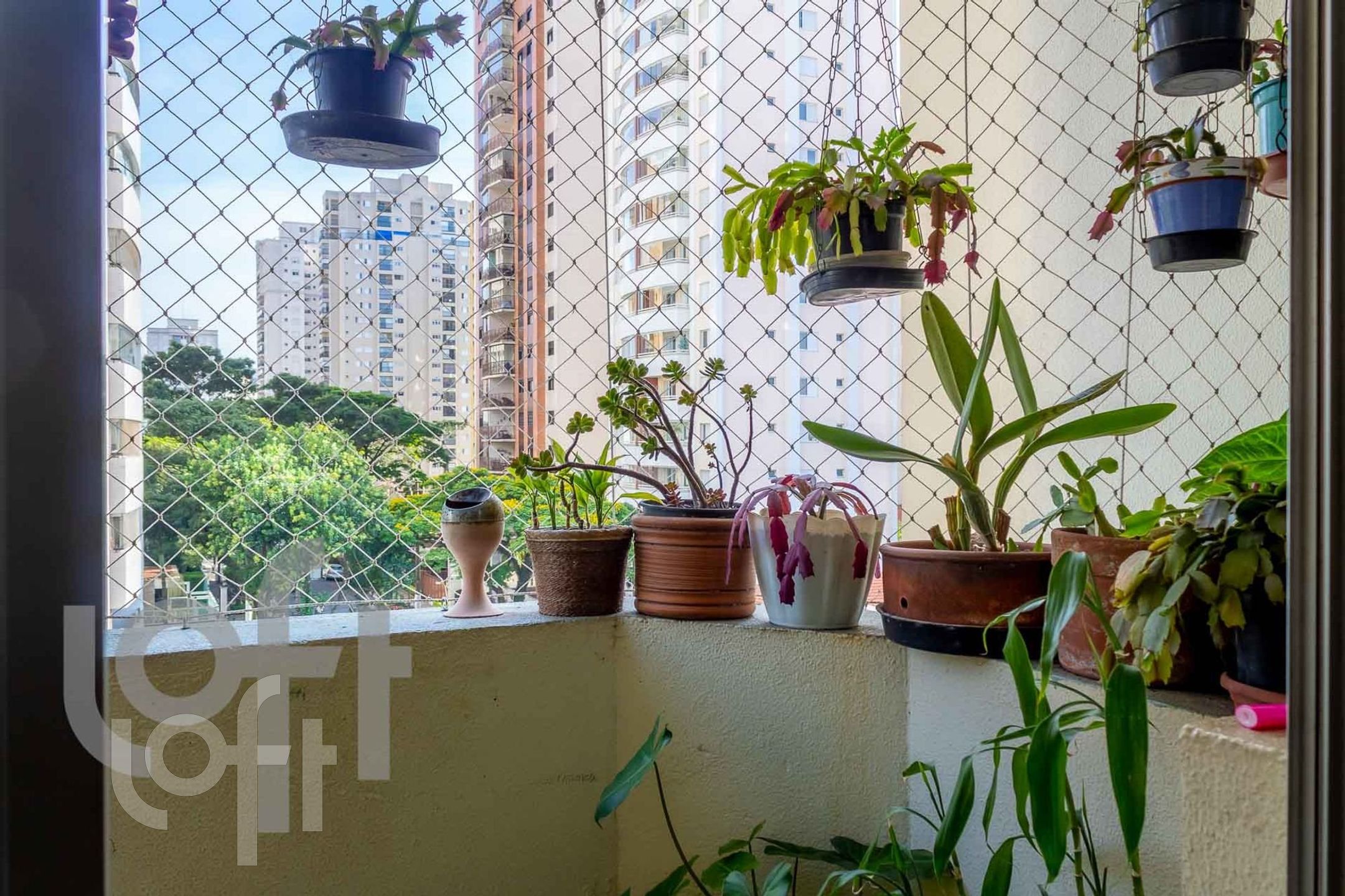 Imagem da propriedade PU1ti3pvq 11