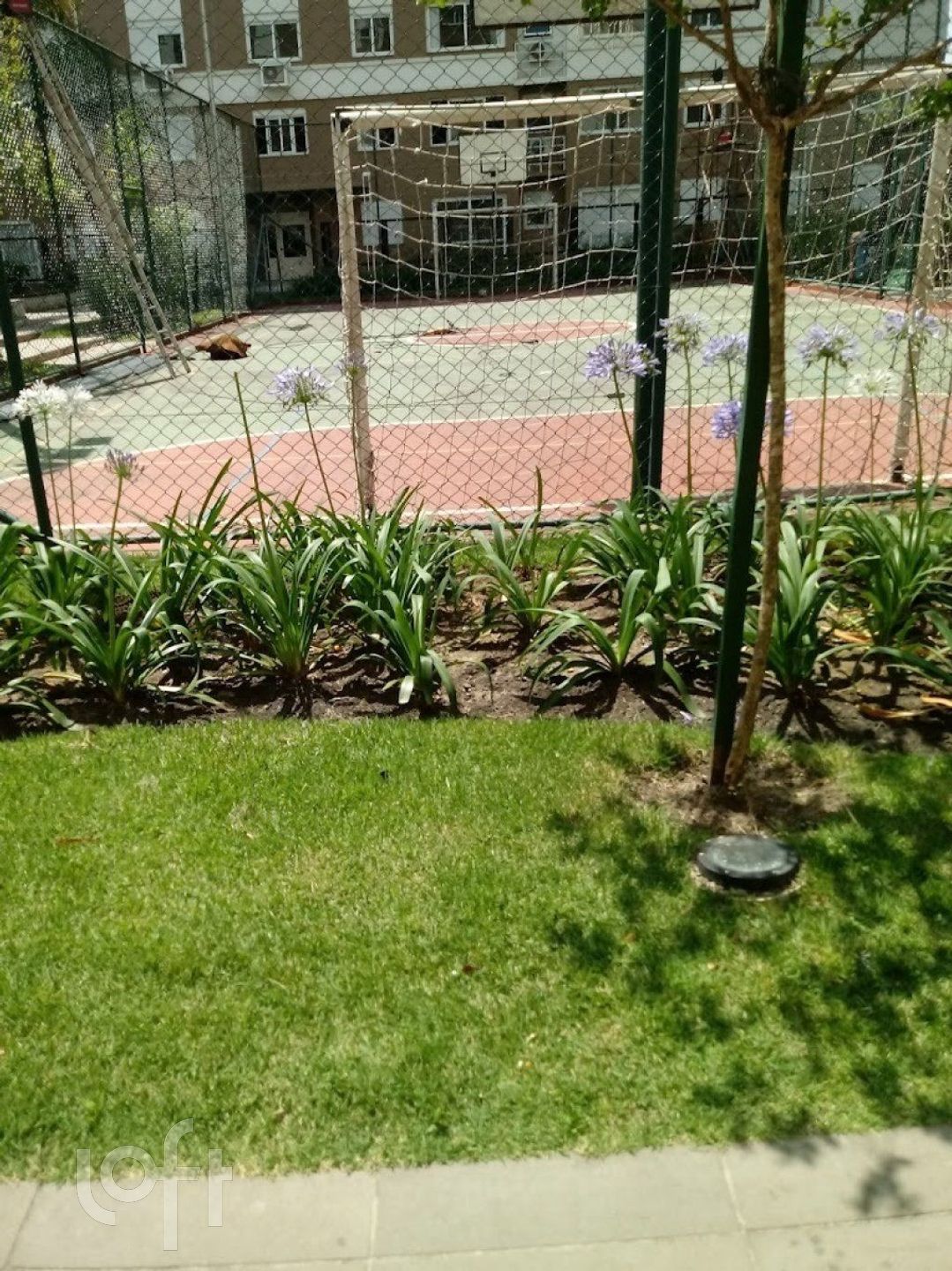 Imagem da propriedade 21